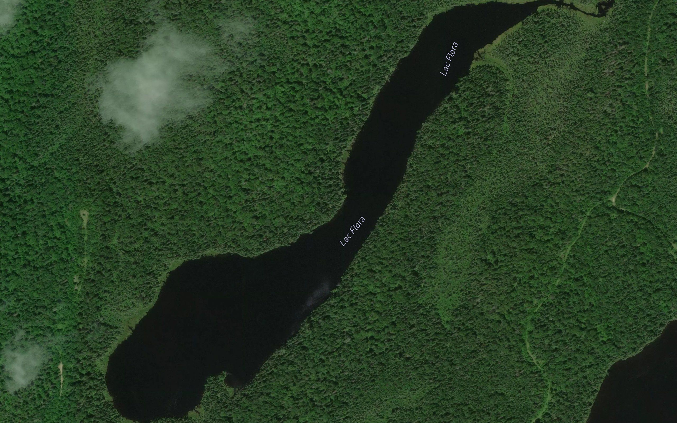 Lac Flora
