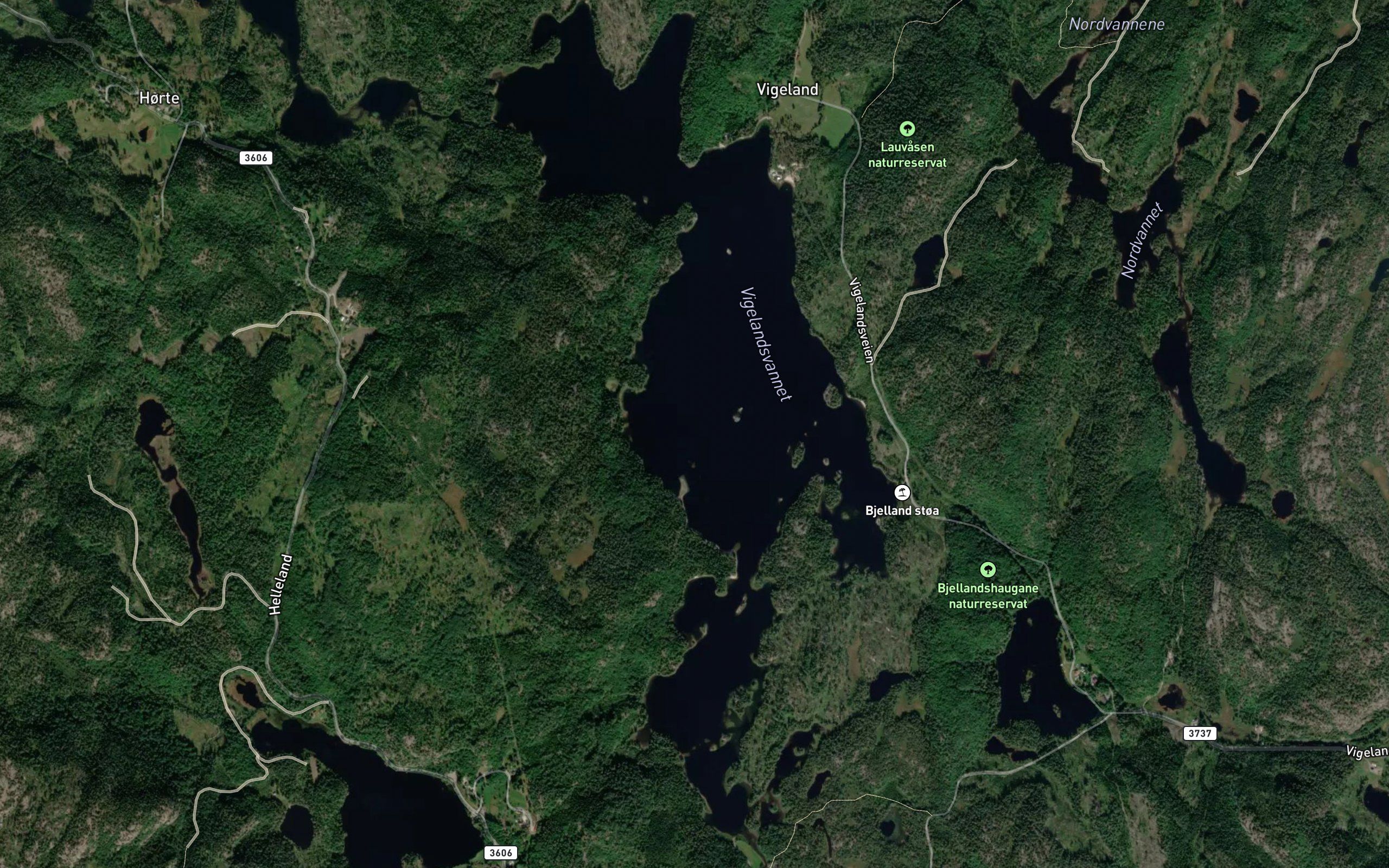 Vigelandsvannet