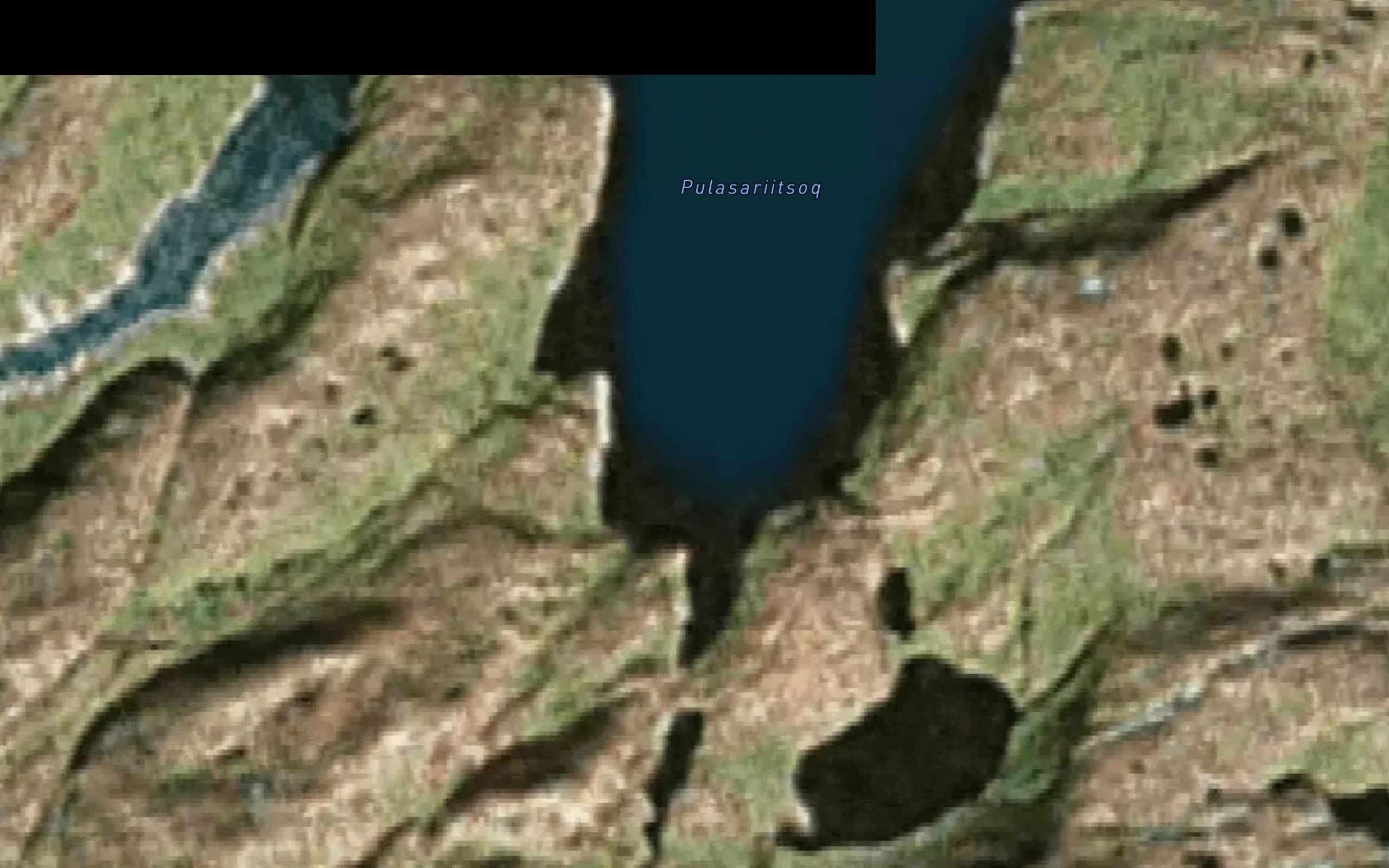 Pulasaritsoq