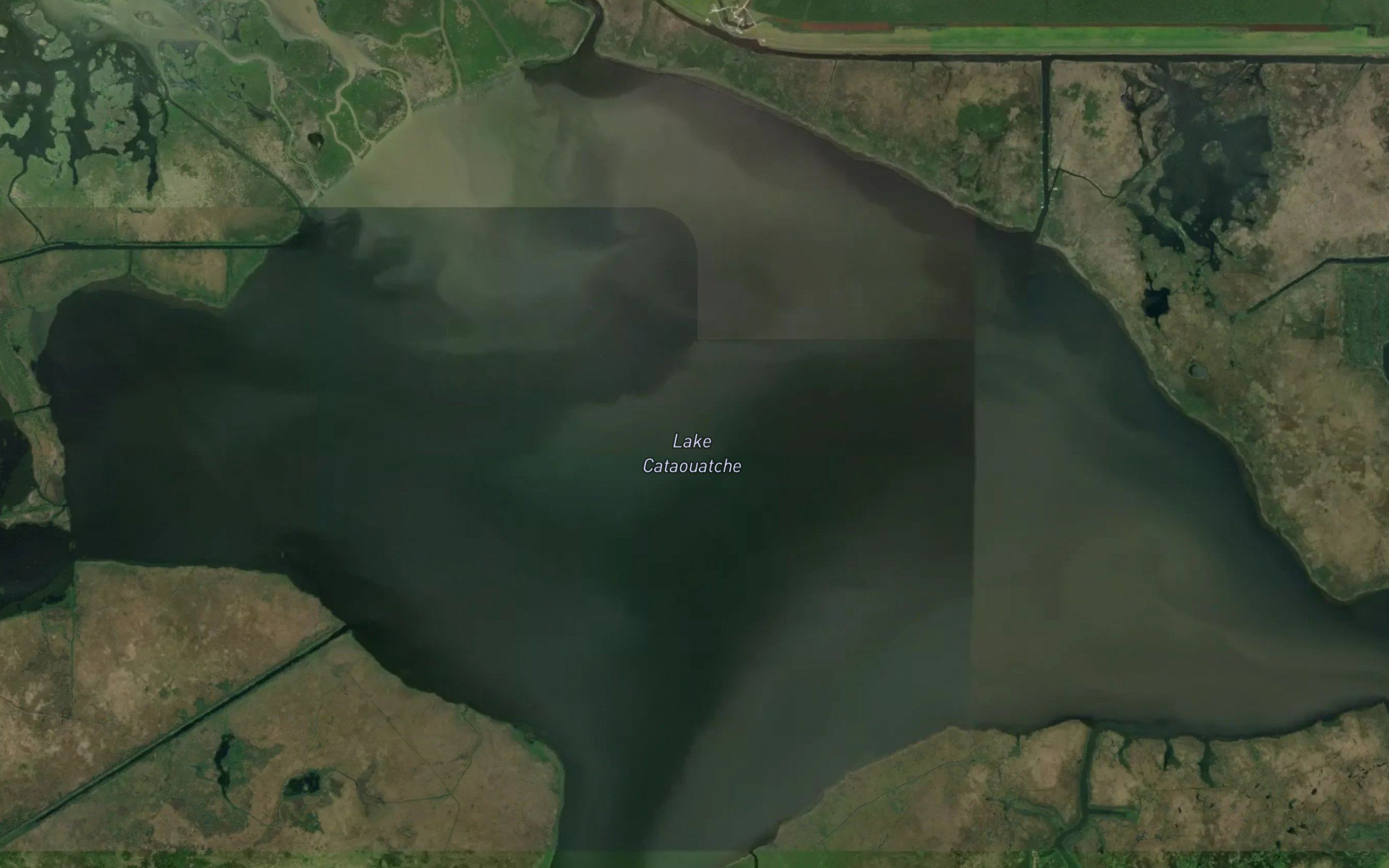 Lake Cataouatche