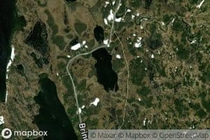 Svarttjonna