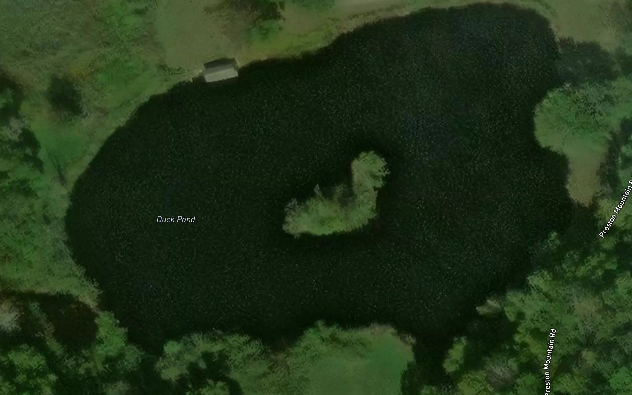 Duck Pond