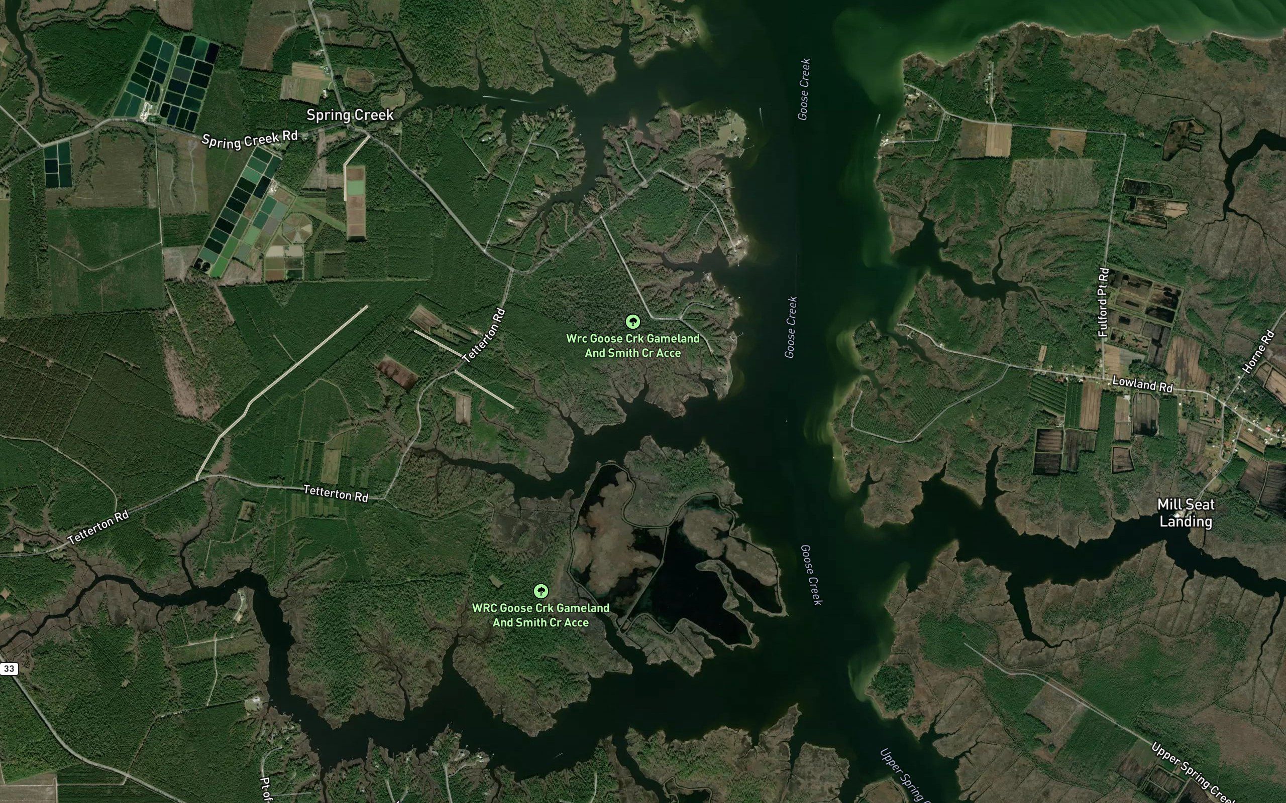 Northeast Prong