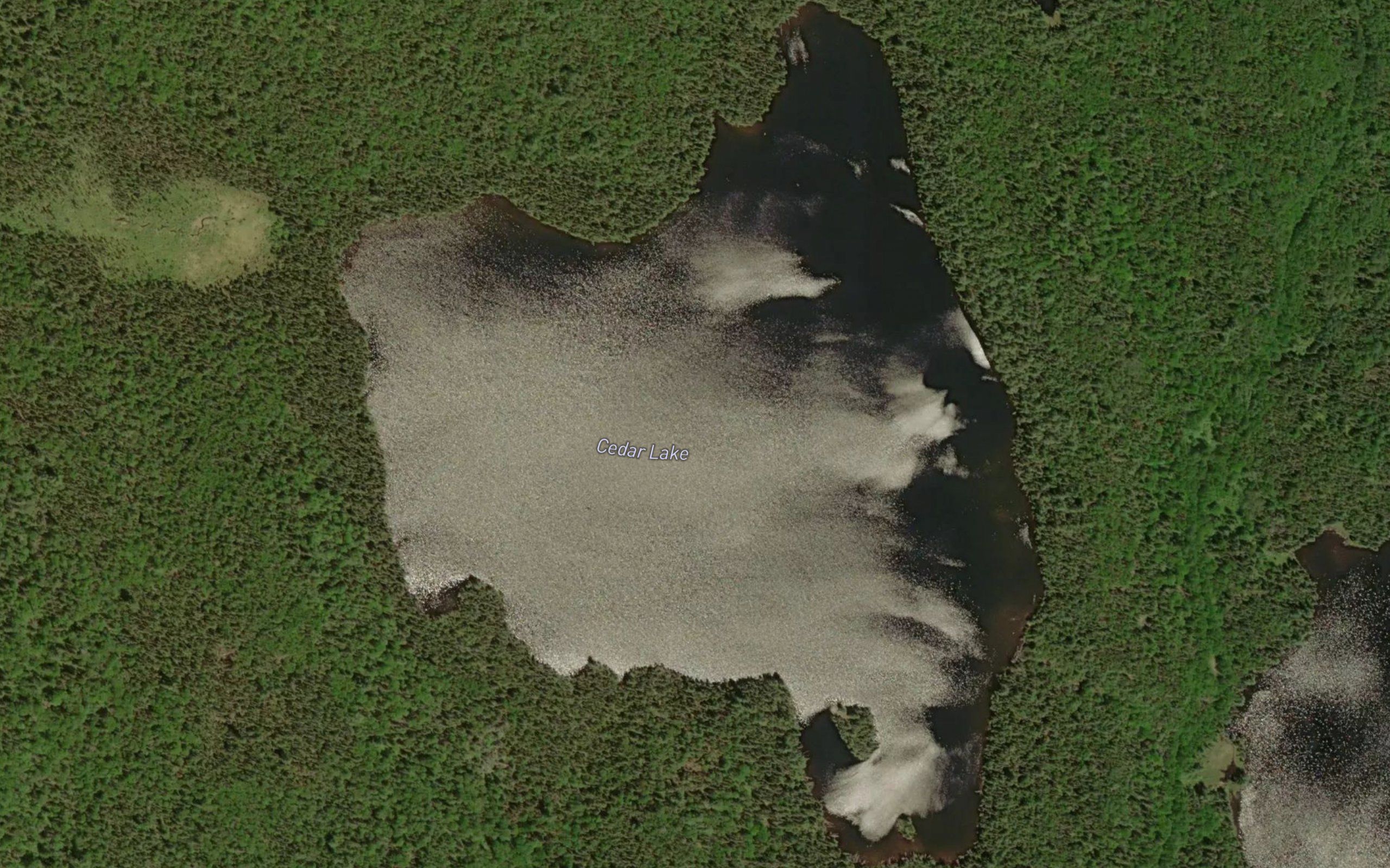 Cedar Lake