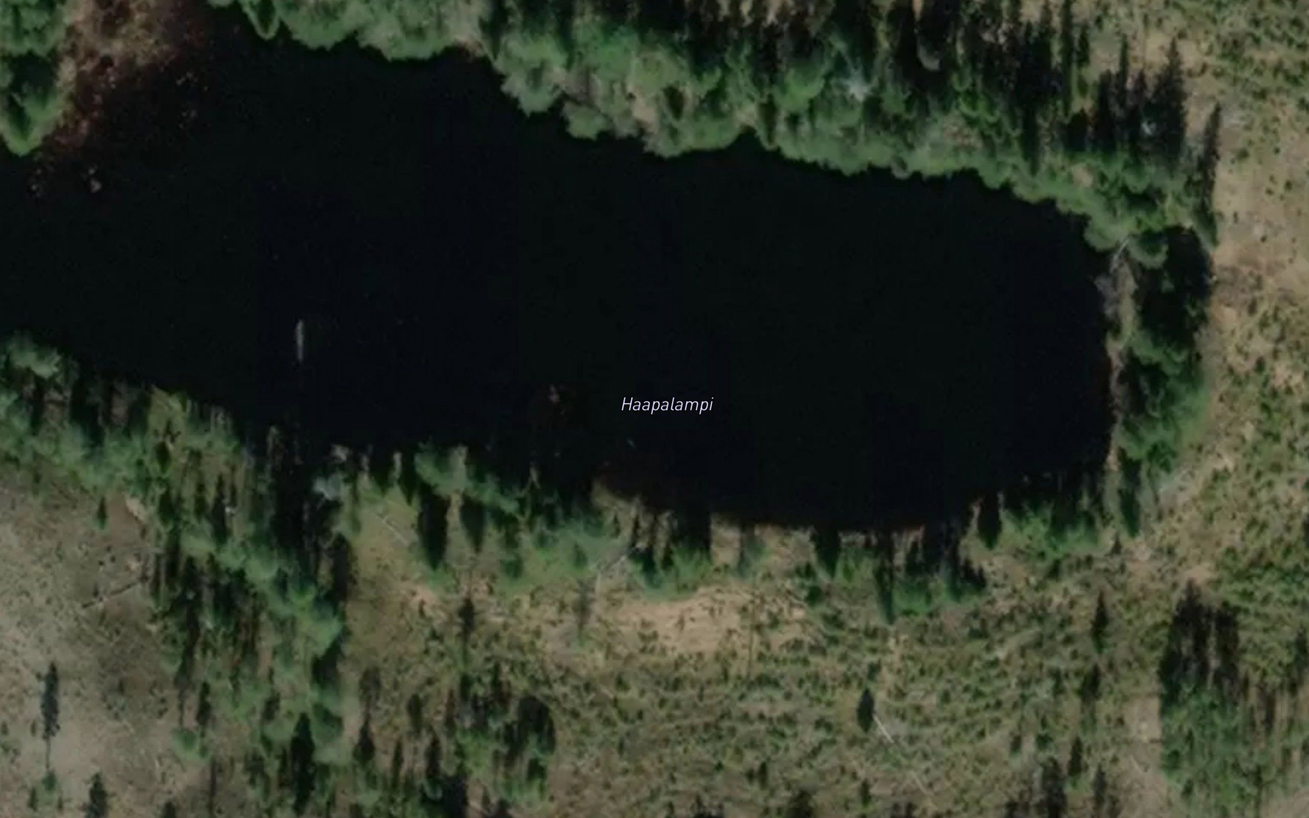 Haapalampi