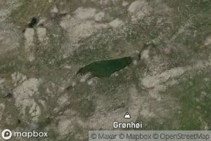 Gronhotjorni