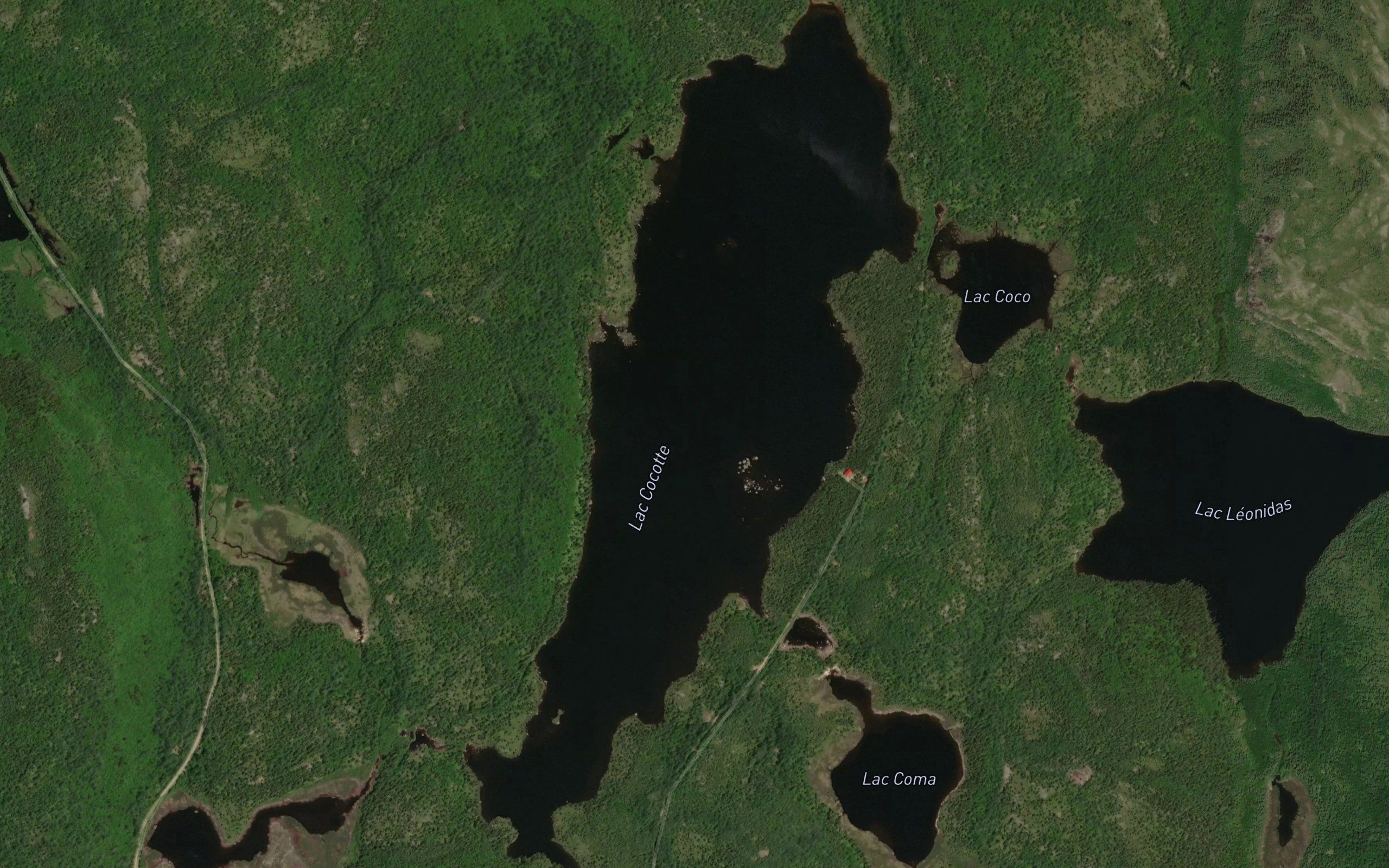 Lac Cocotte