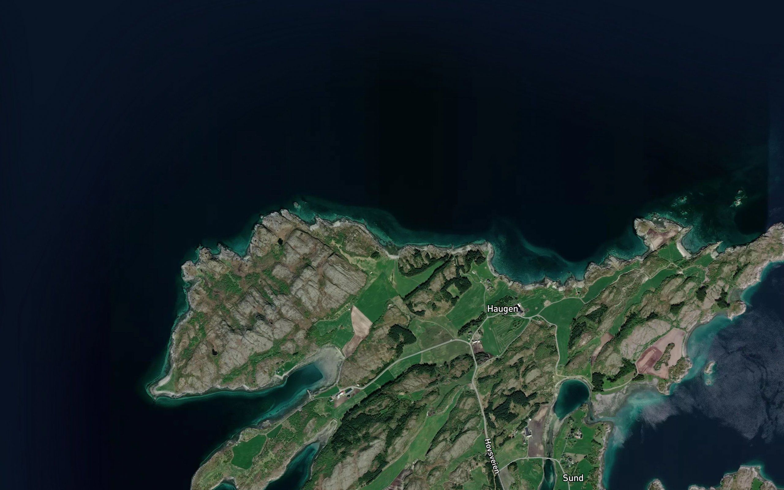 Borsvikja