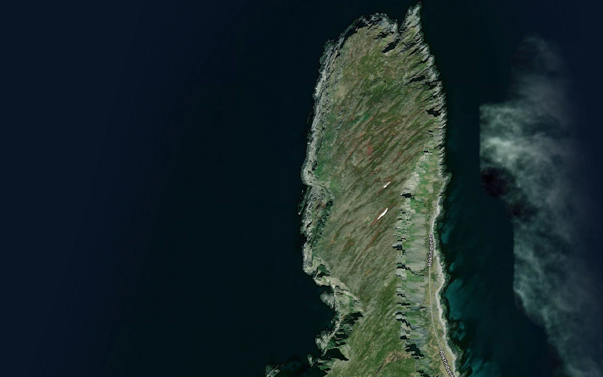 Kobbekjeila