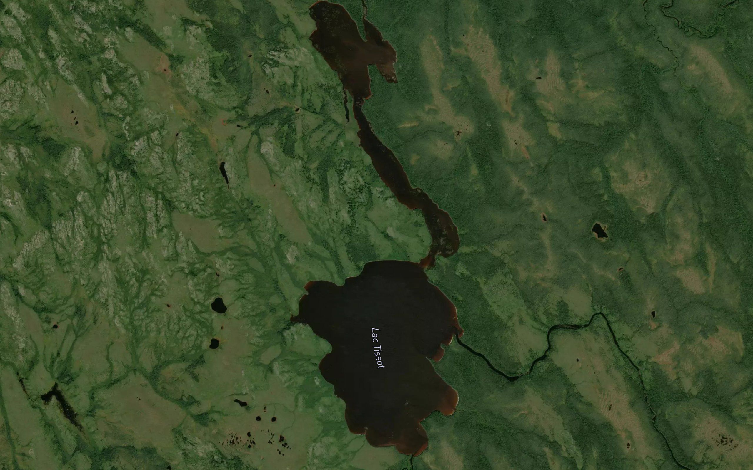 Lac Tissot