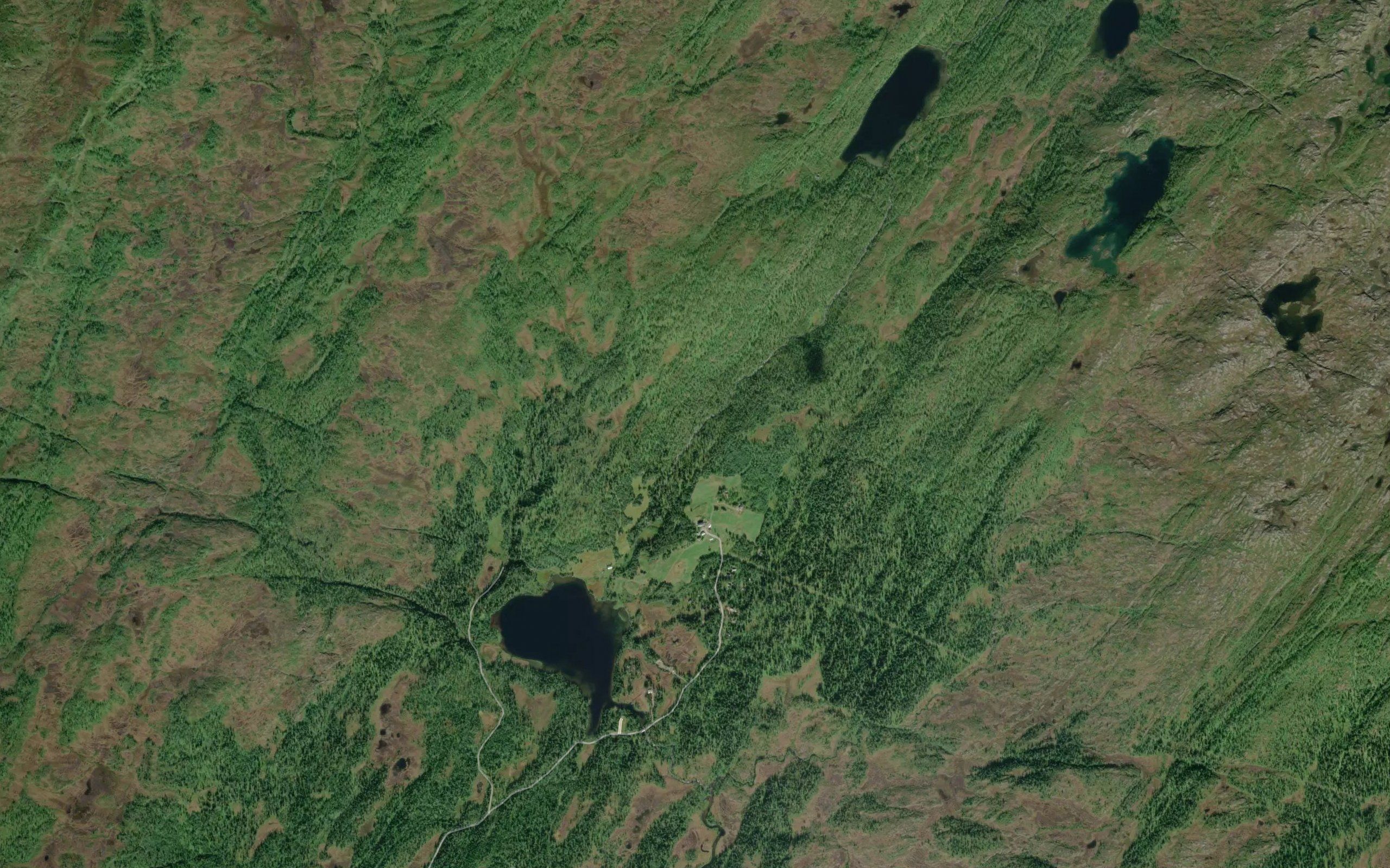 Nestvasselva