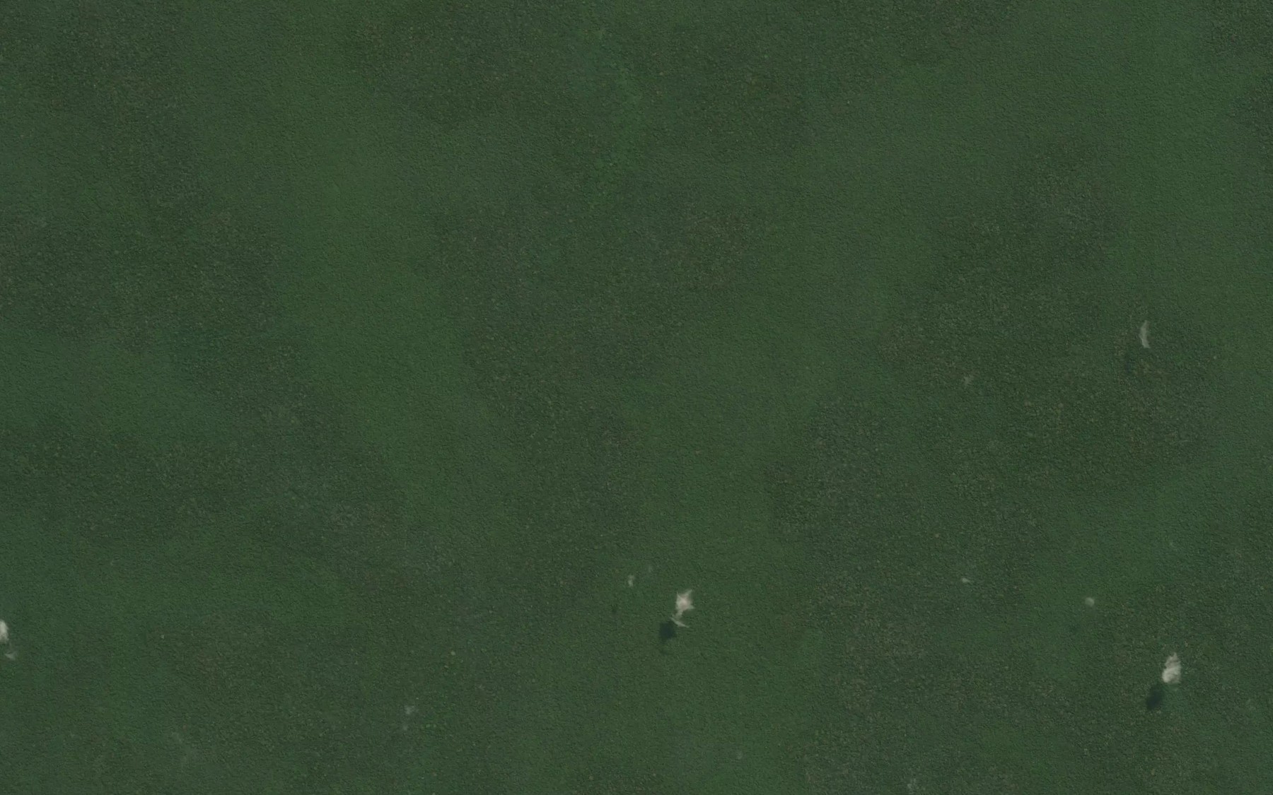 Satellite map of the Botofeli