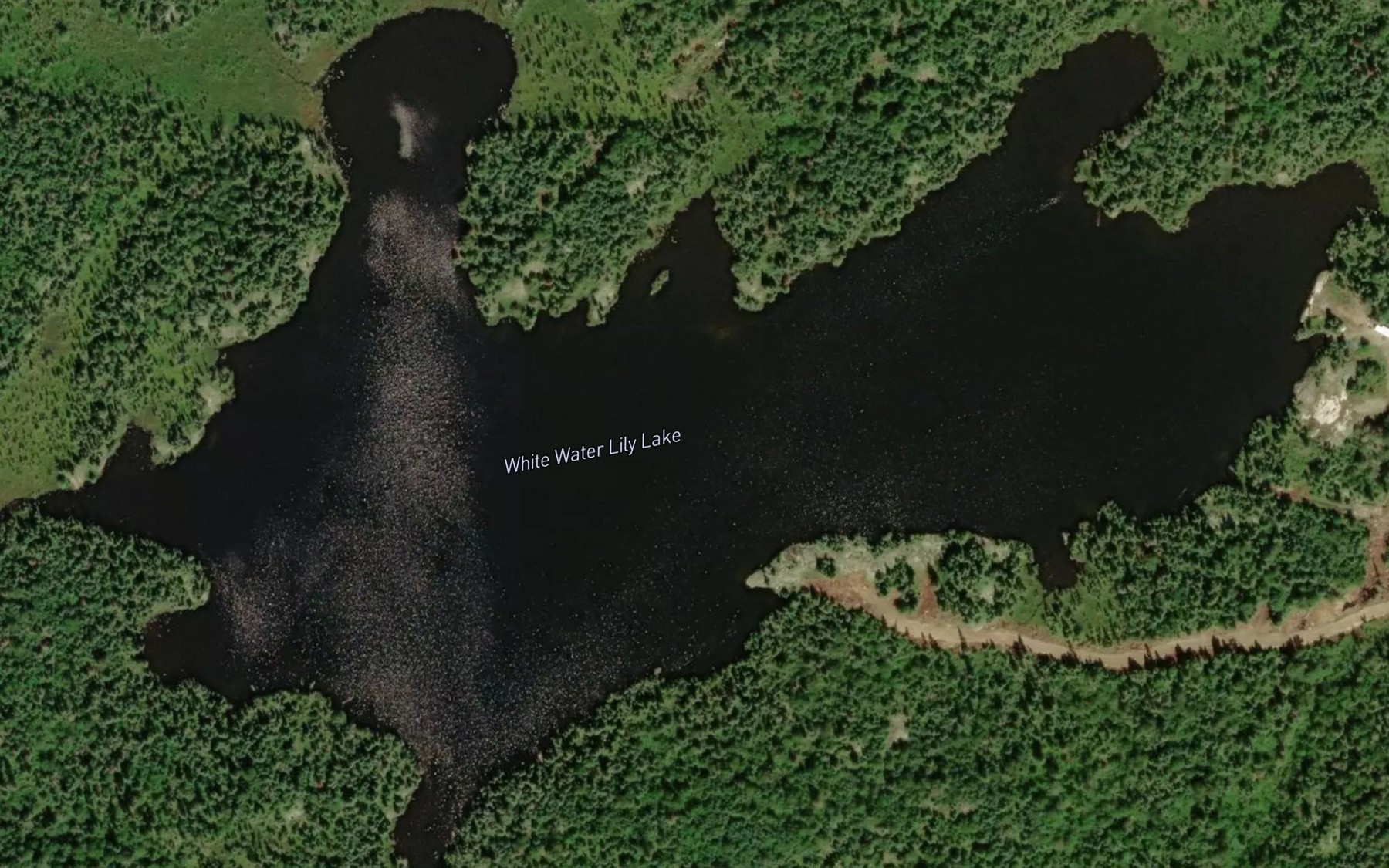 Satellite map of the White Water Lily Lake