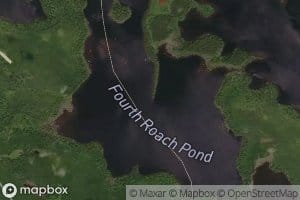 Fourth Roach Pond