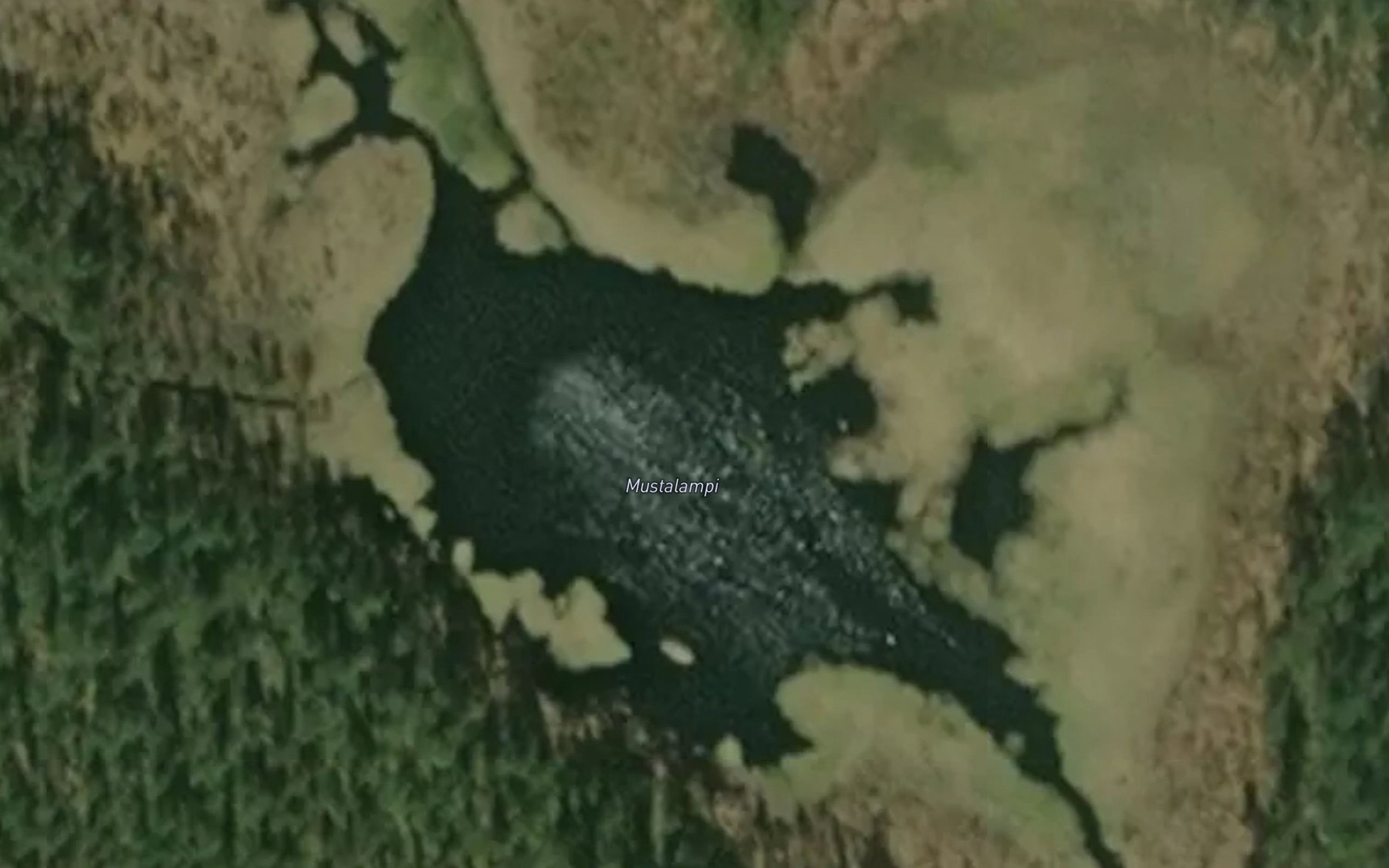 Satellite map of the Mustalampi