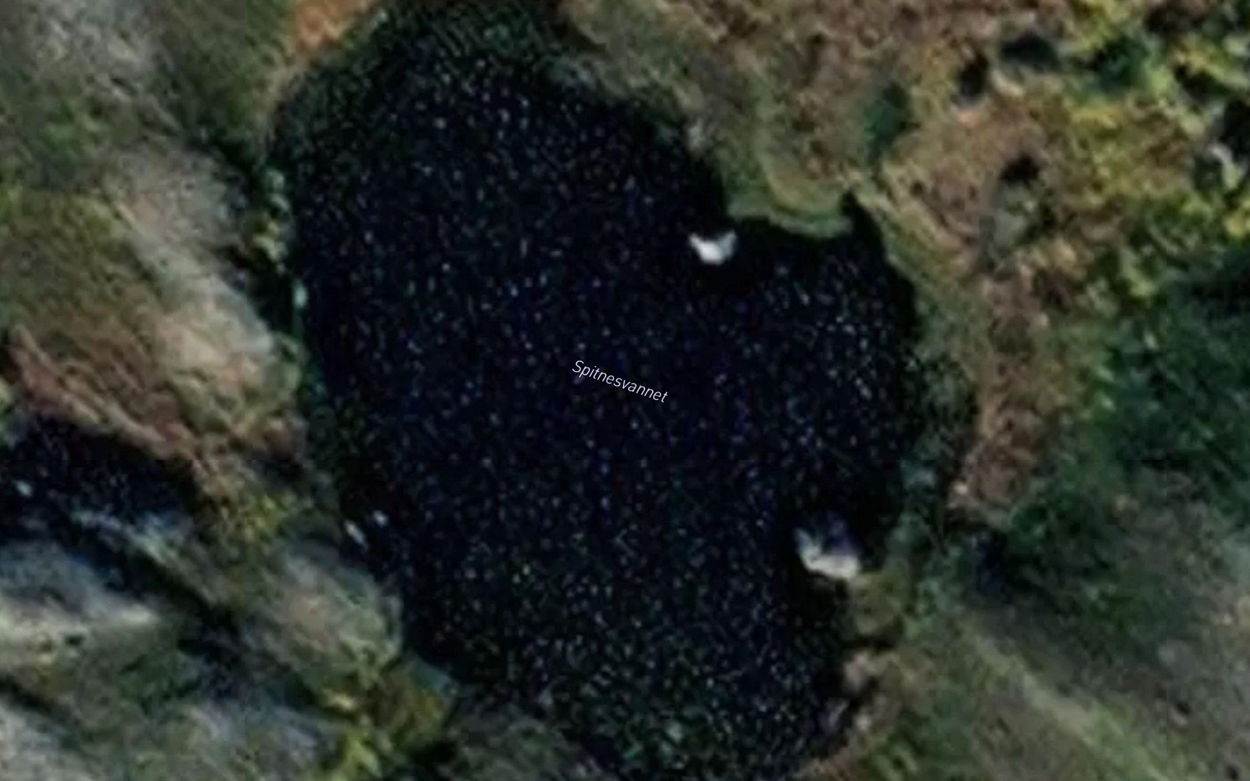 Spitnesvannet