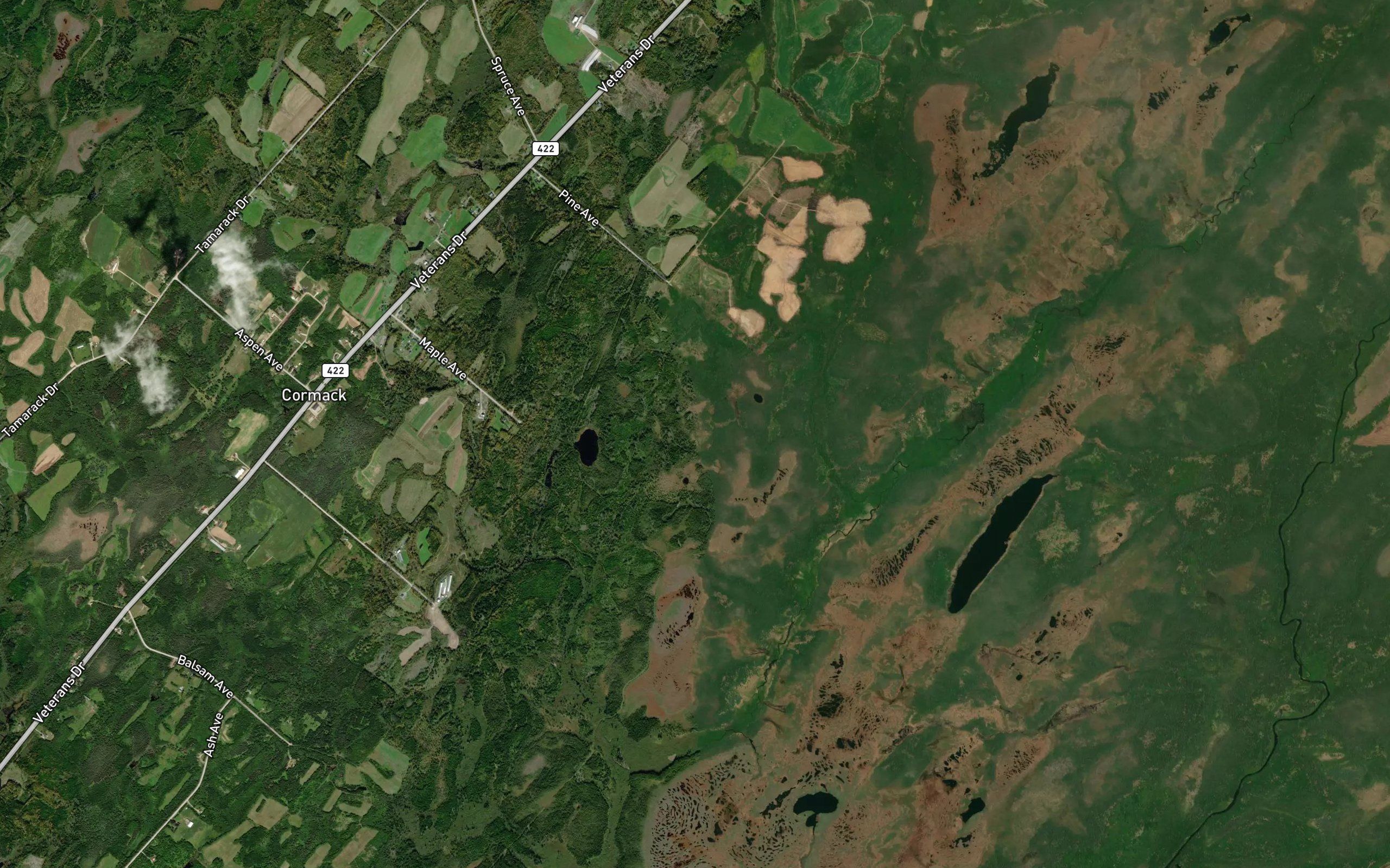 Kidney Pond