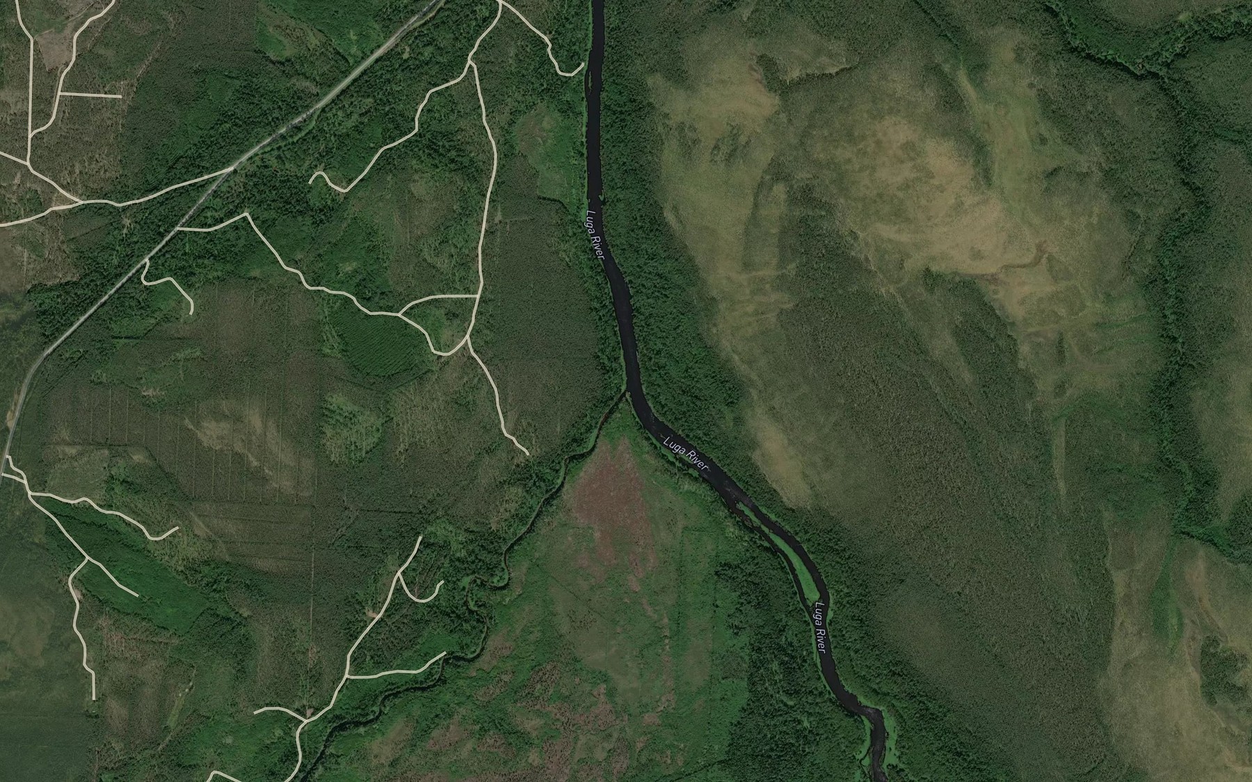 Satellite map of the Dolgaya
