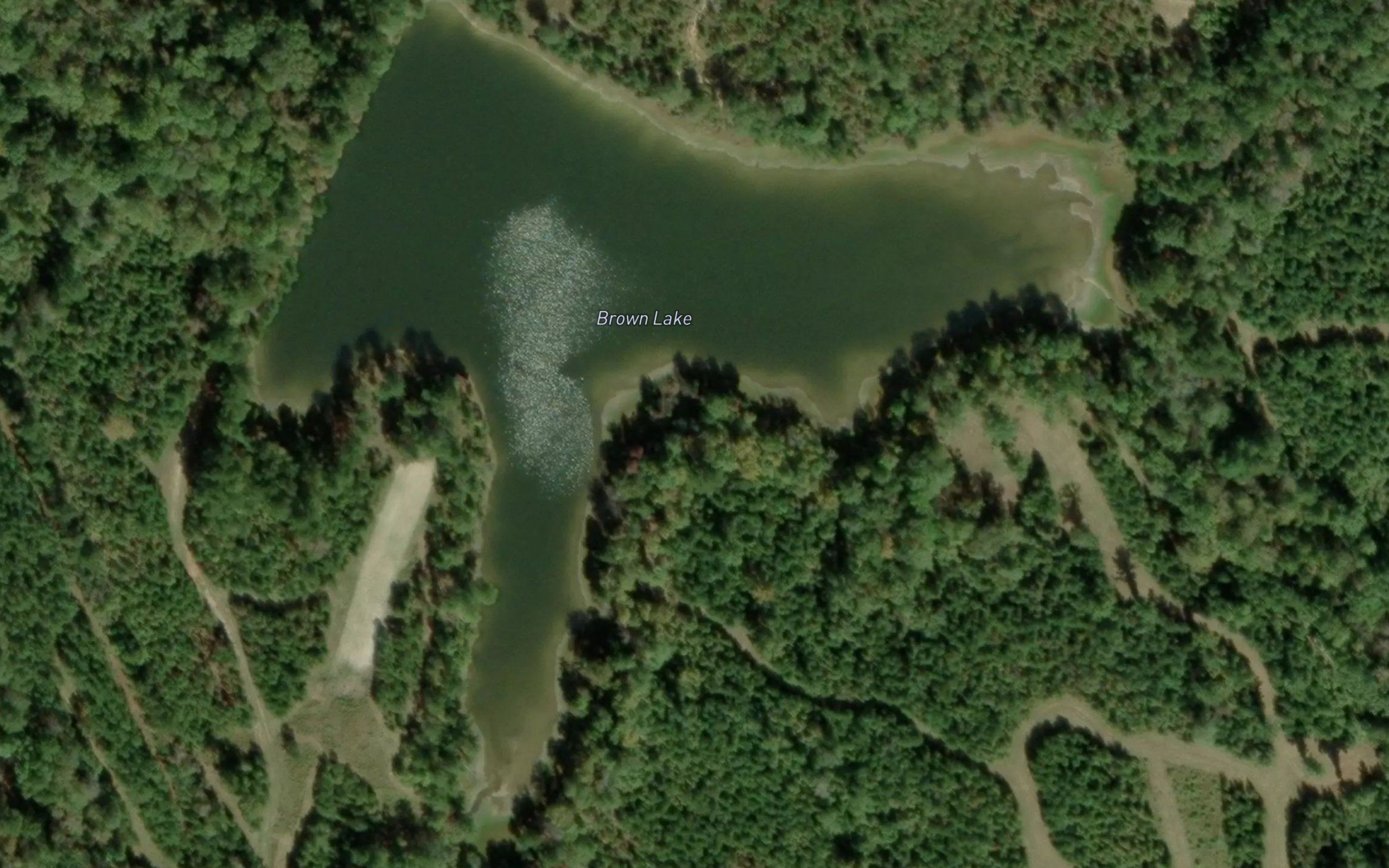 Brown Lake