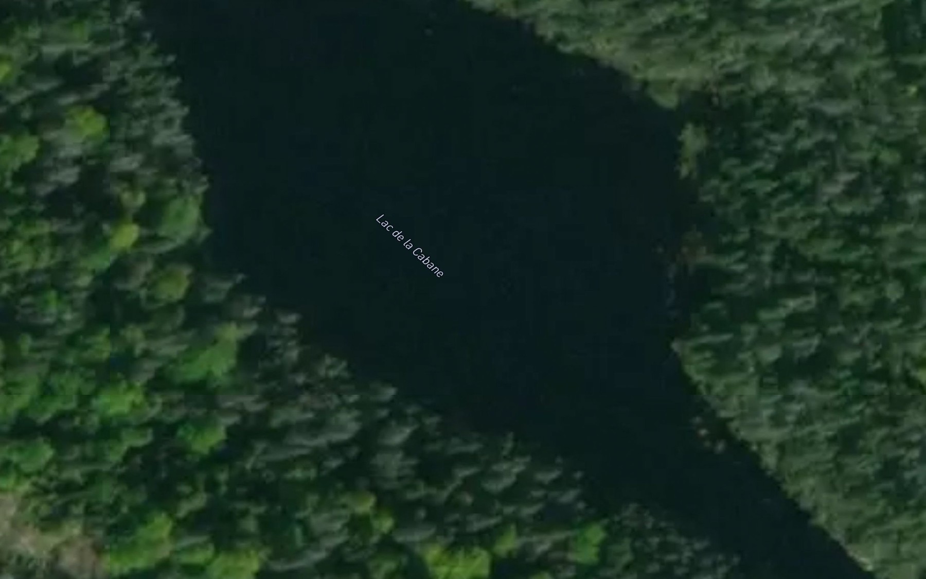 Satellite map of the Lac de la Cabane
