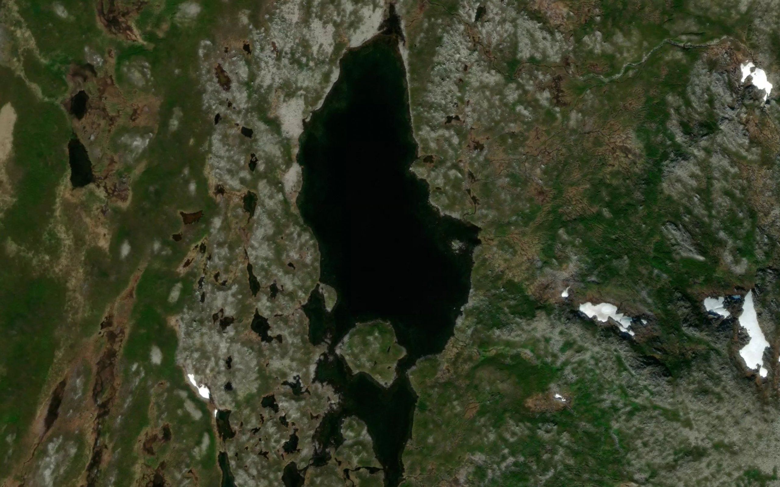 Russemovannet