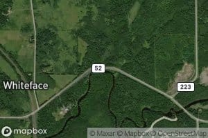 Picnic Creek