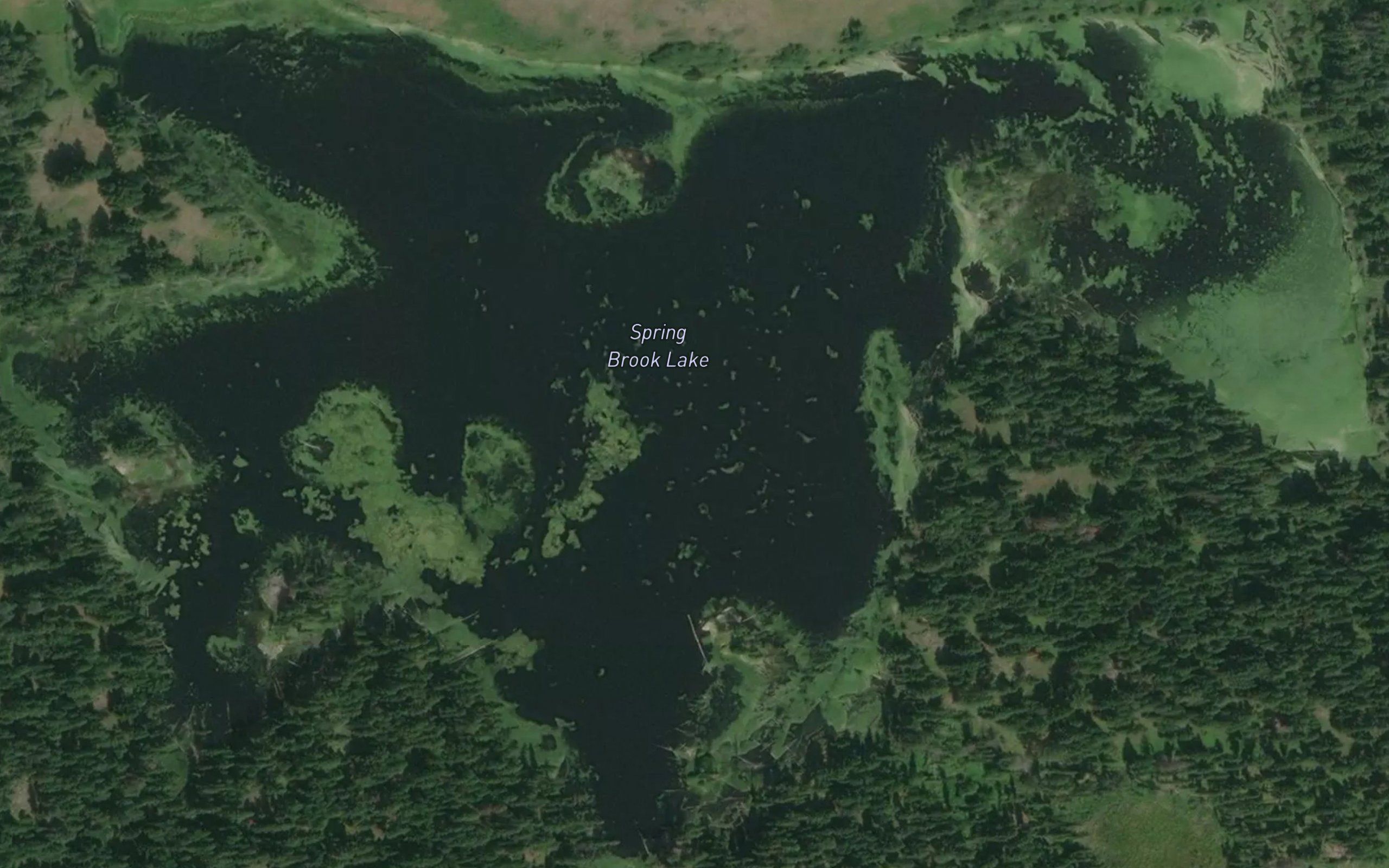 Spring Brook Lake
