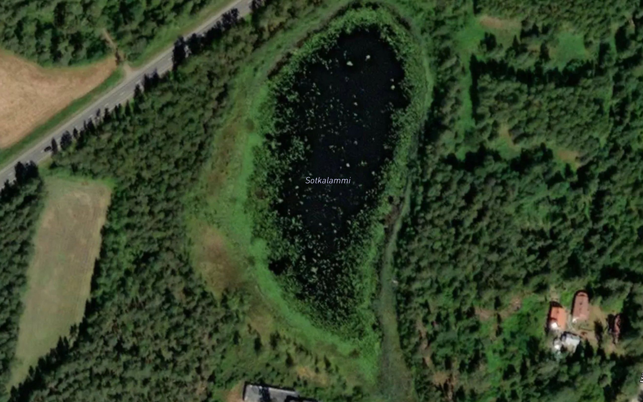 Sotkalammi