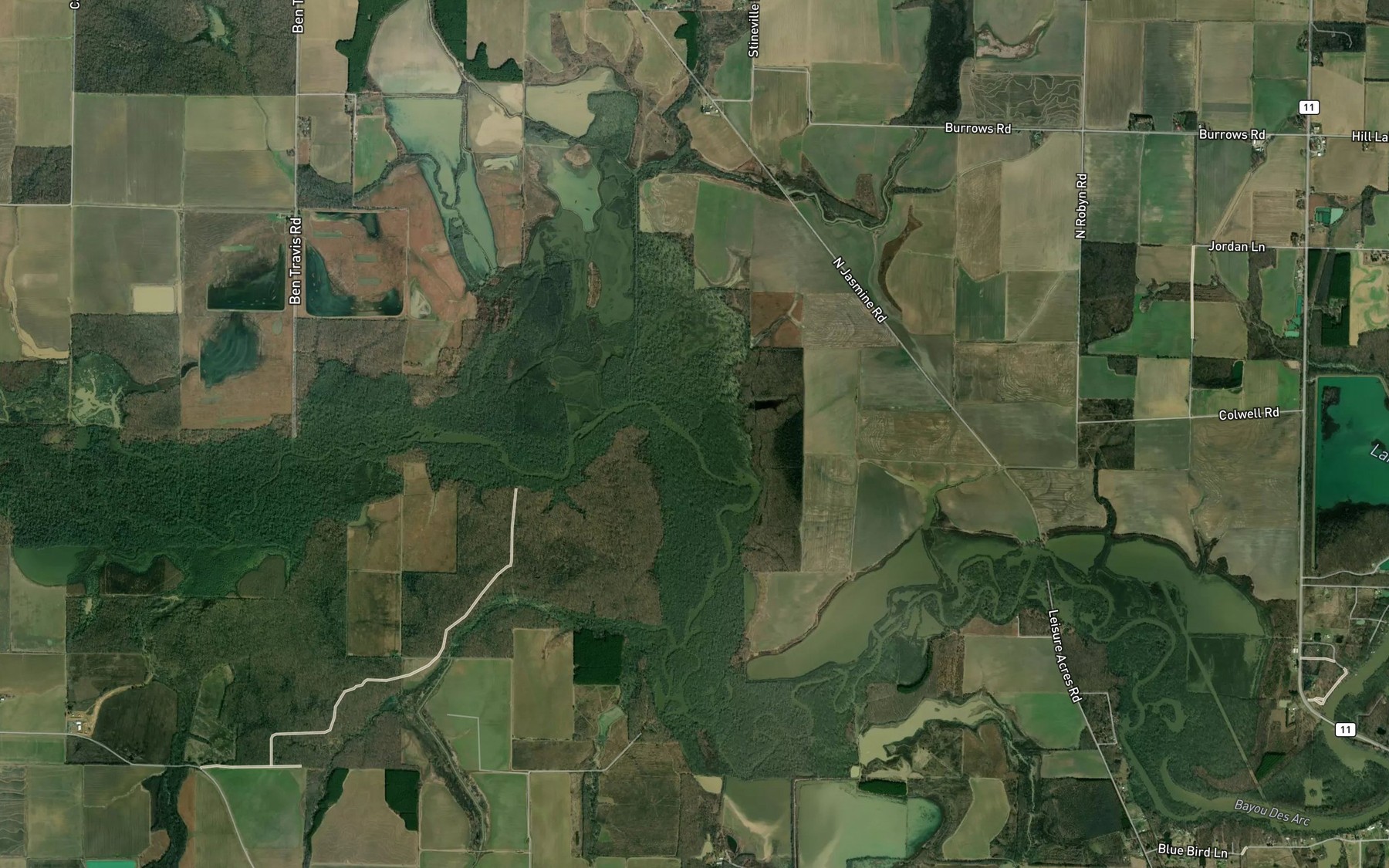 Satellite map of the Long Branch