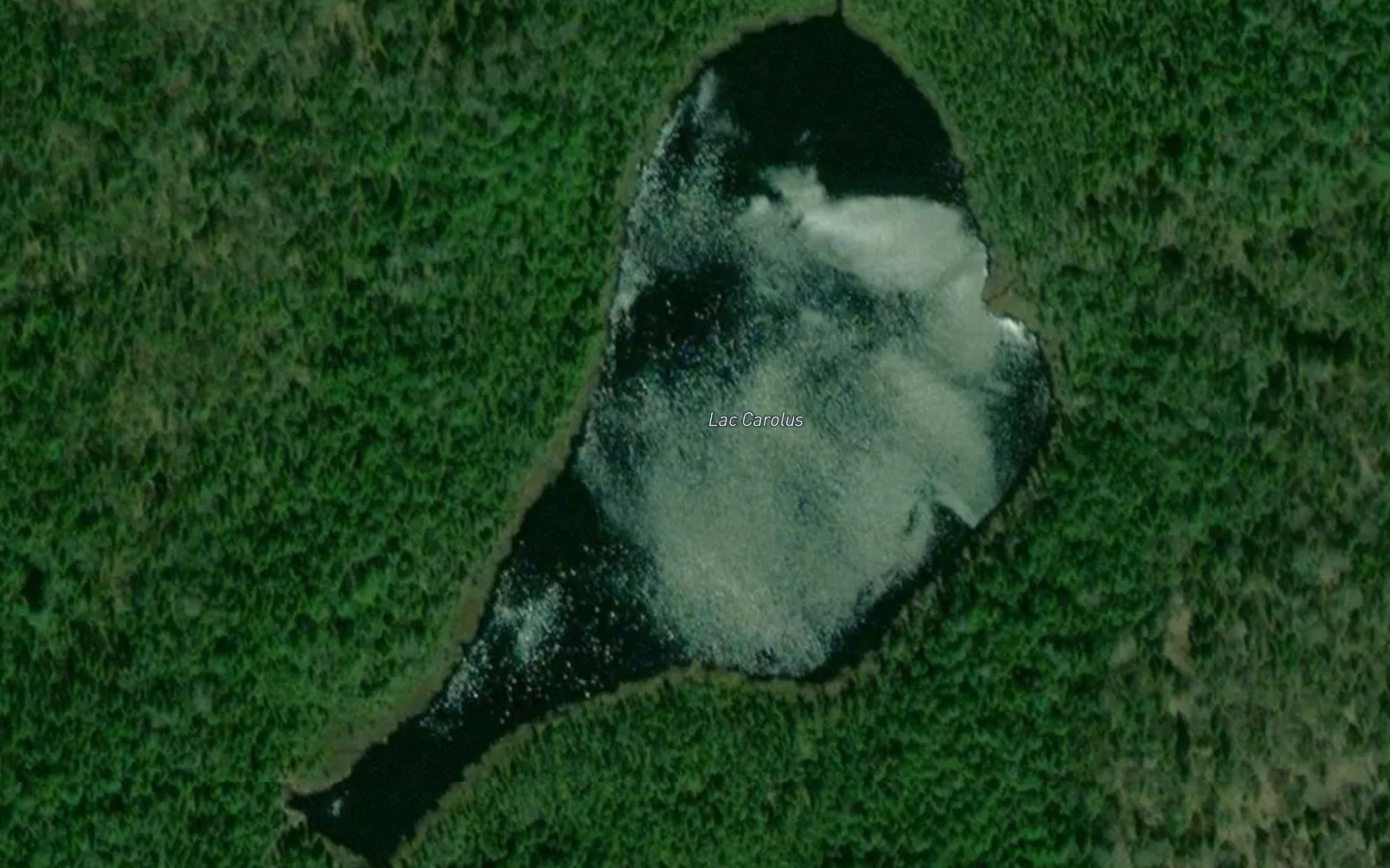 Lac Carolus