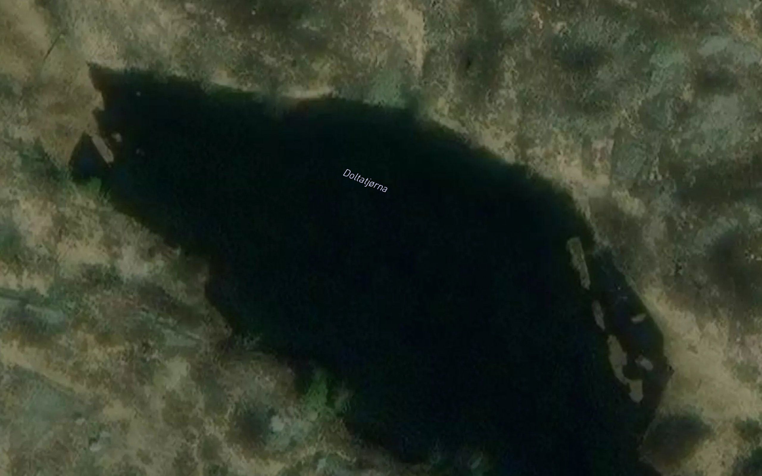 Doltatjorna