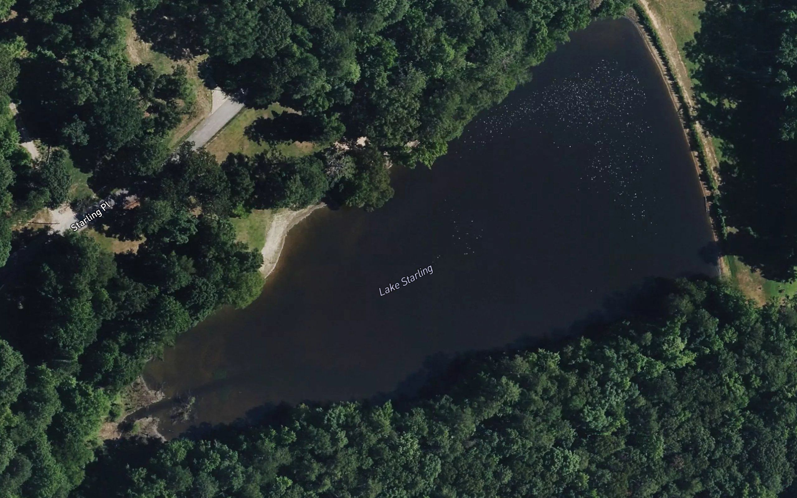 Lake Starling