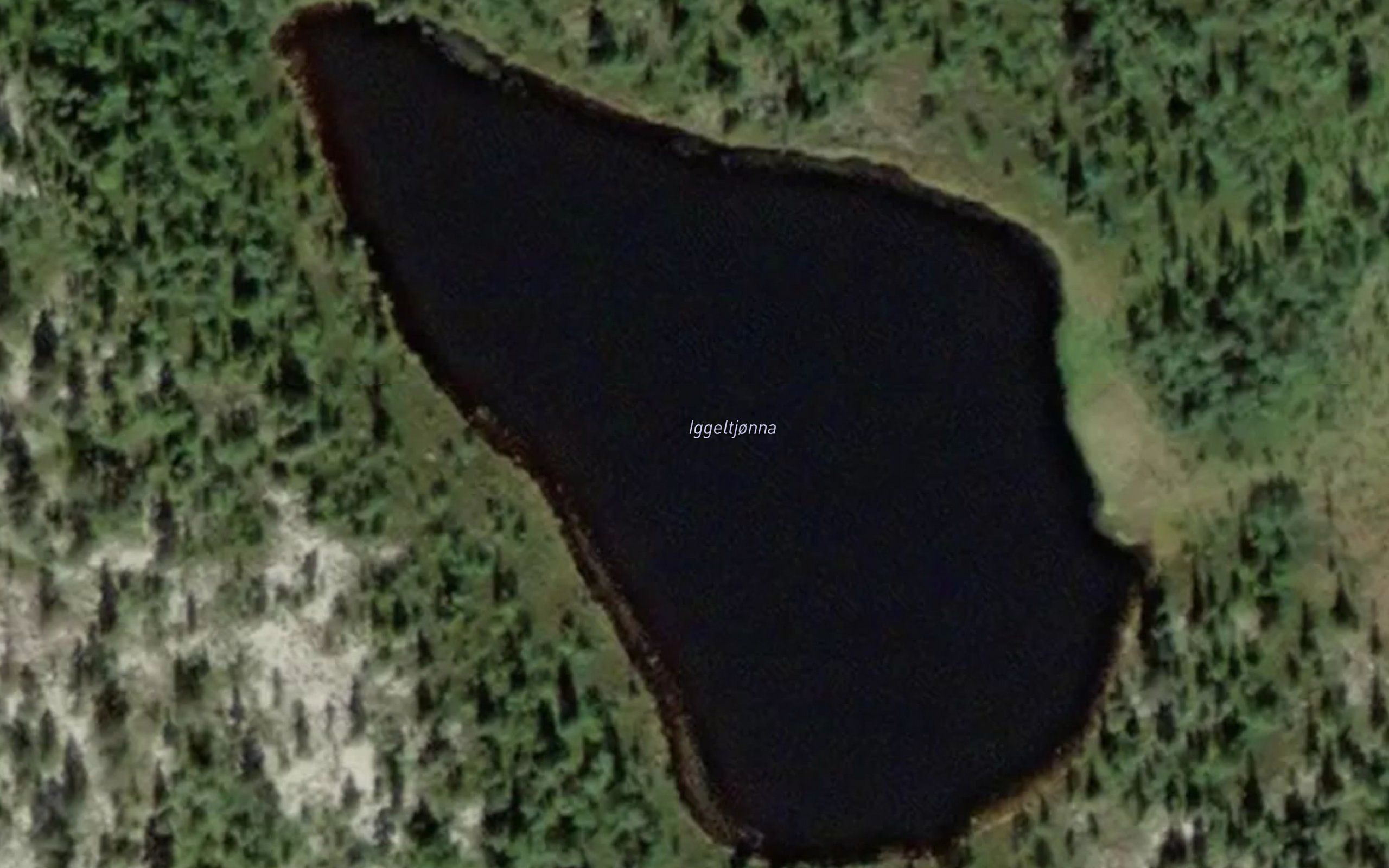 Igletjorna