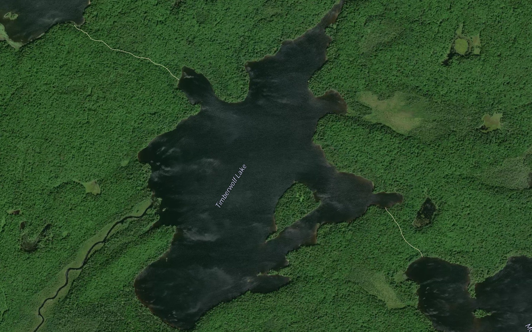 Satellite map of the Timberwolf Lake