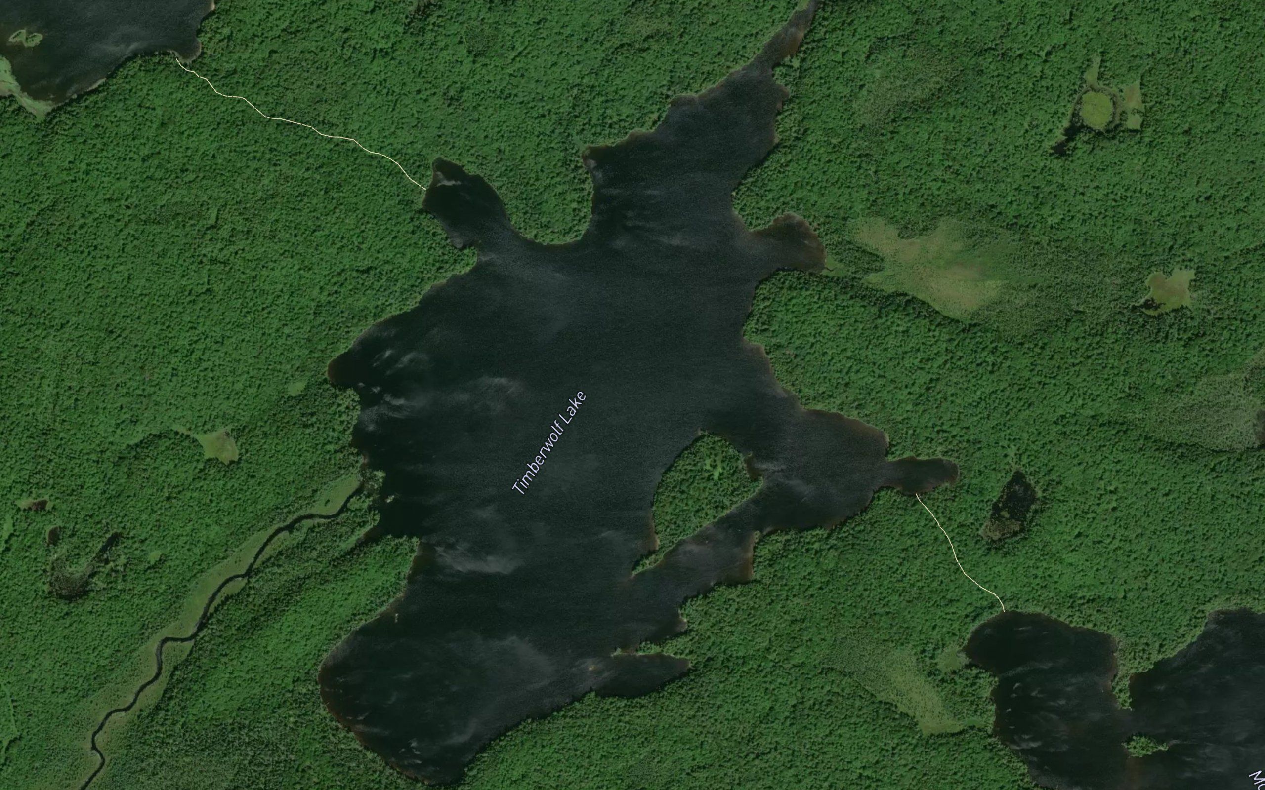 Timberwolf Lake