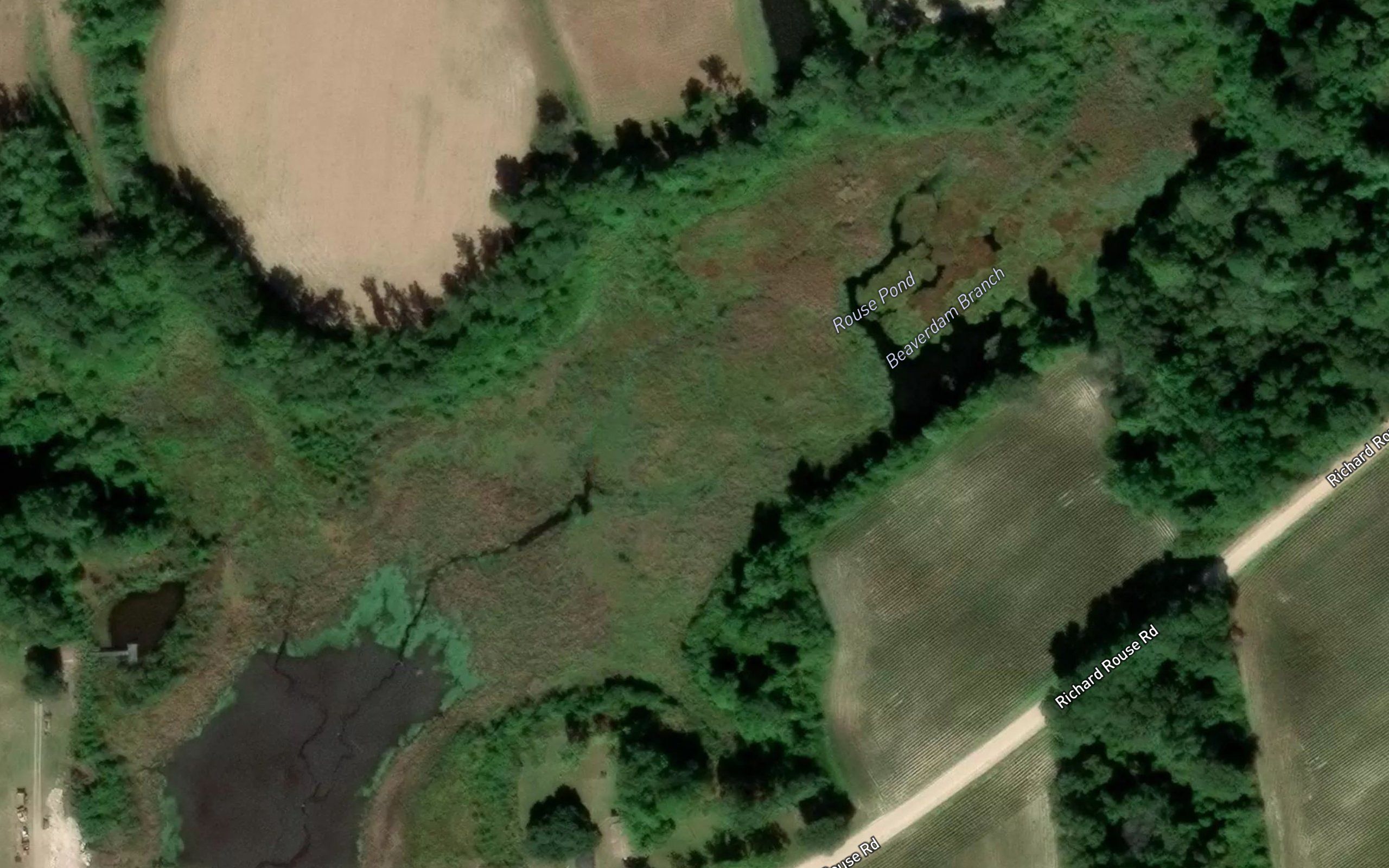 Rouse Pond