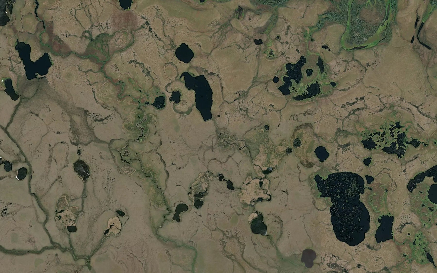 Satellite map of the Sardine Creek