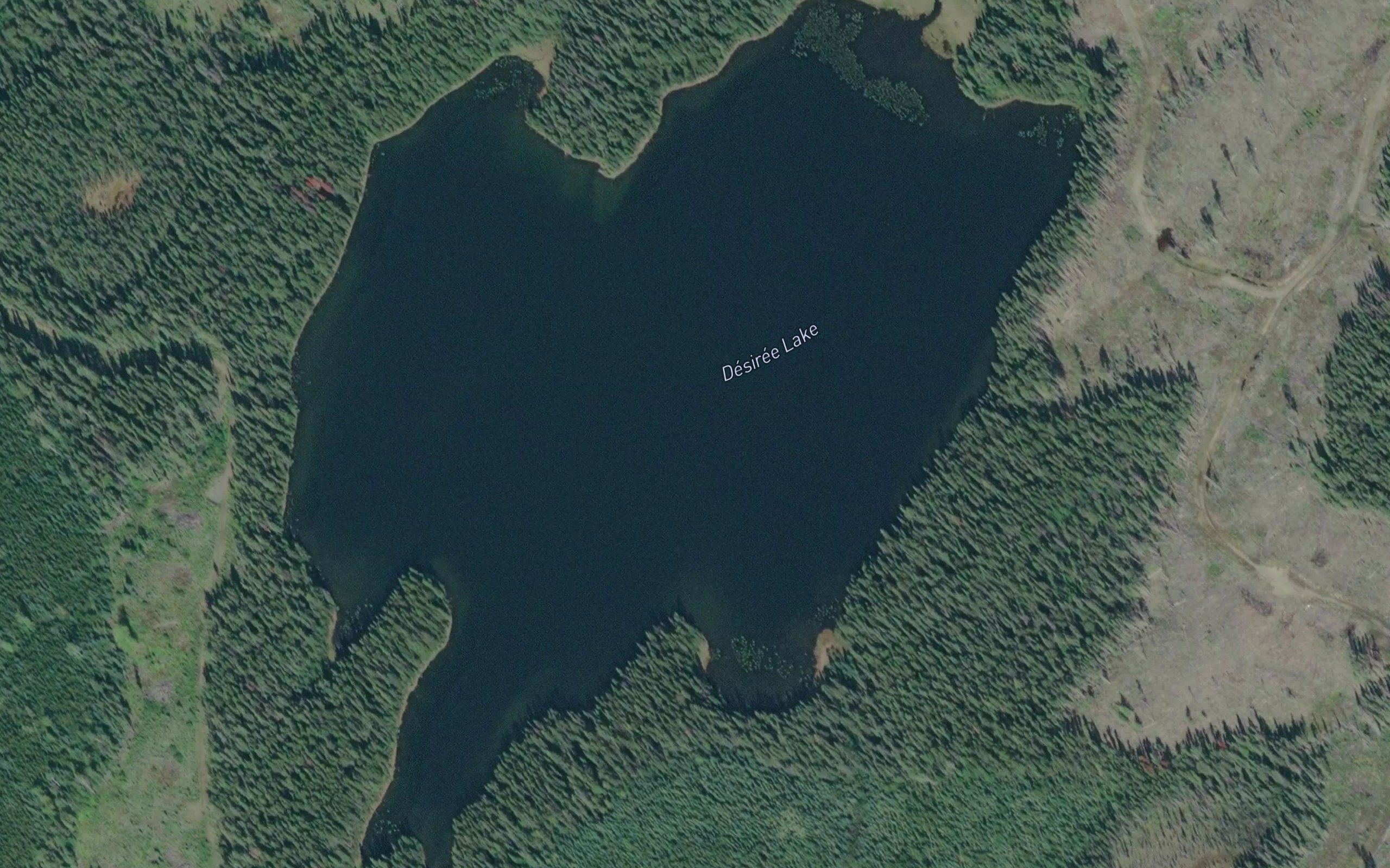 Desiree Lake