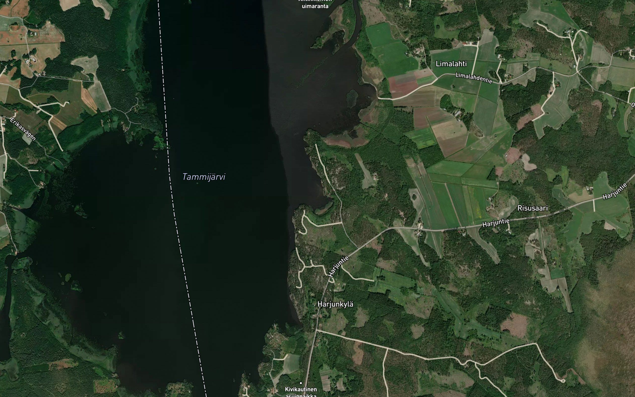 Koivuviikki