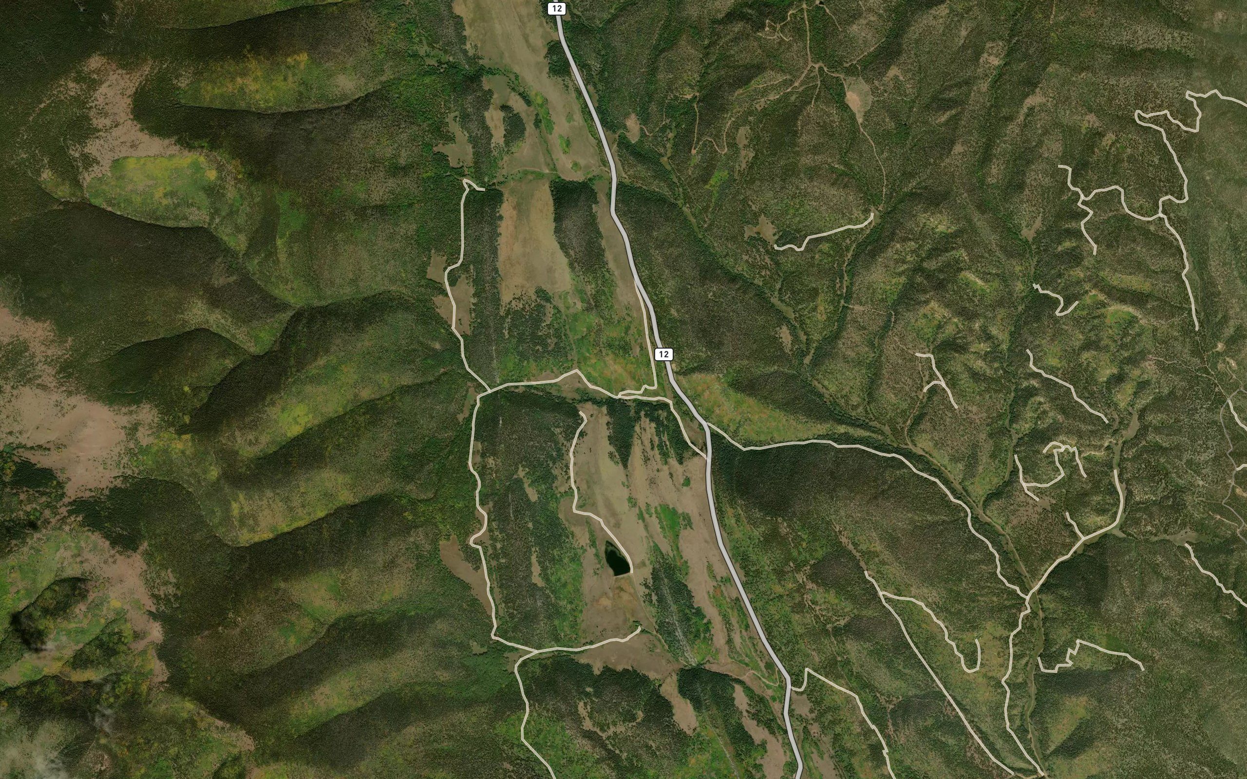Murray Creek