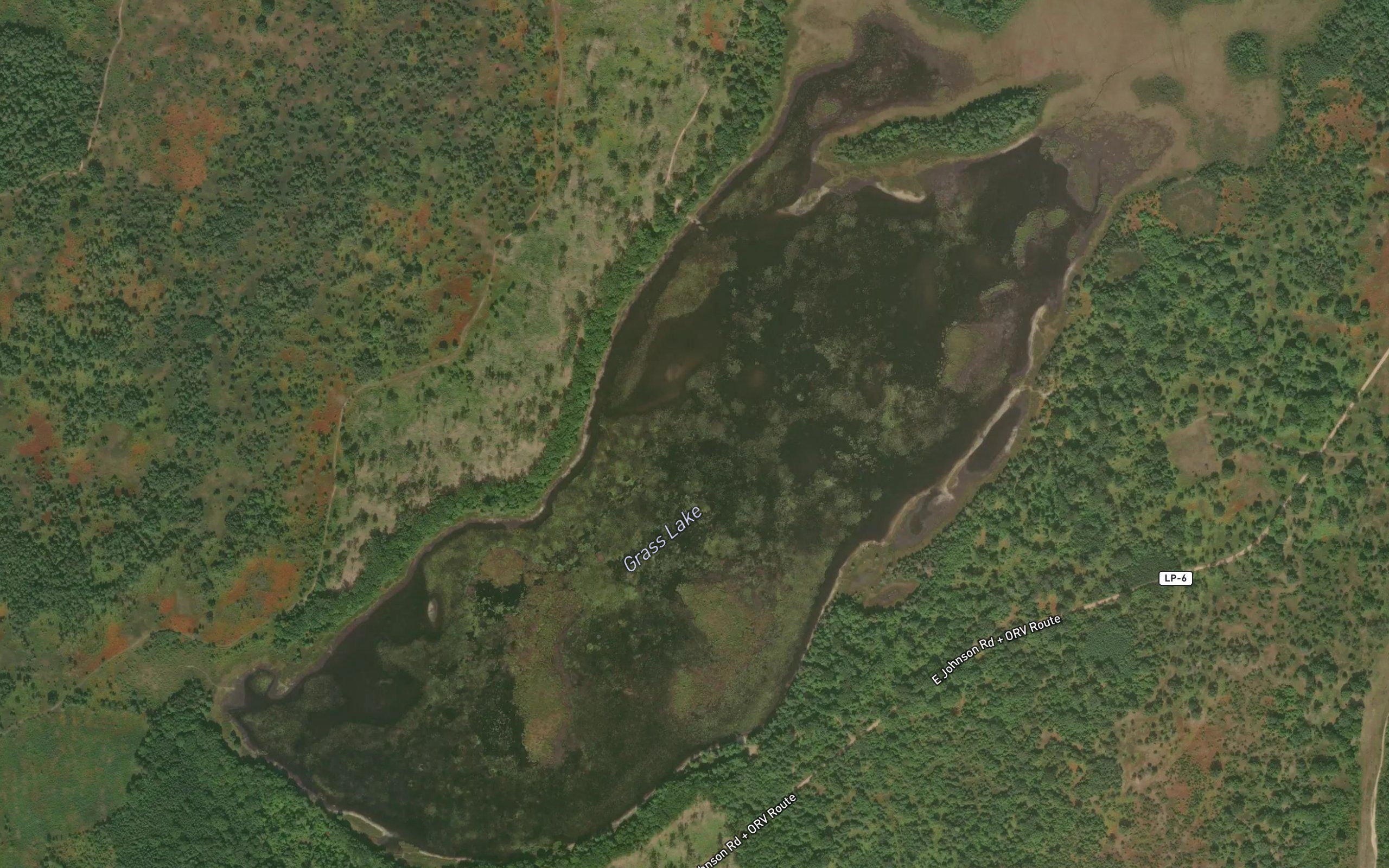 Grass Lake