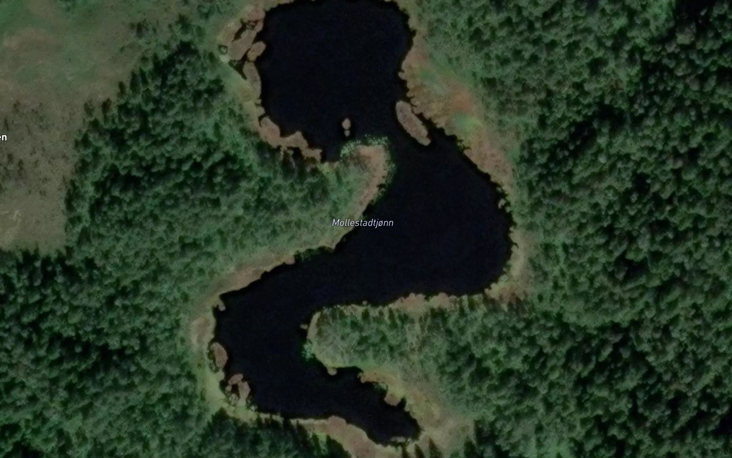 Mollestadtjonn