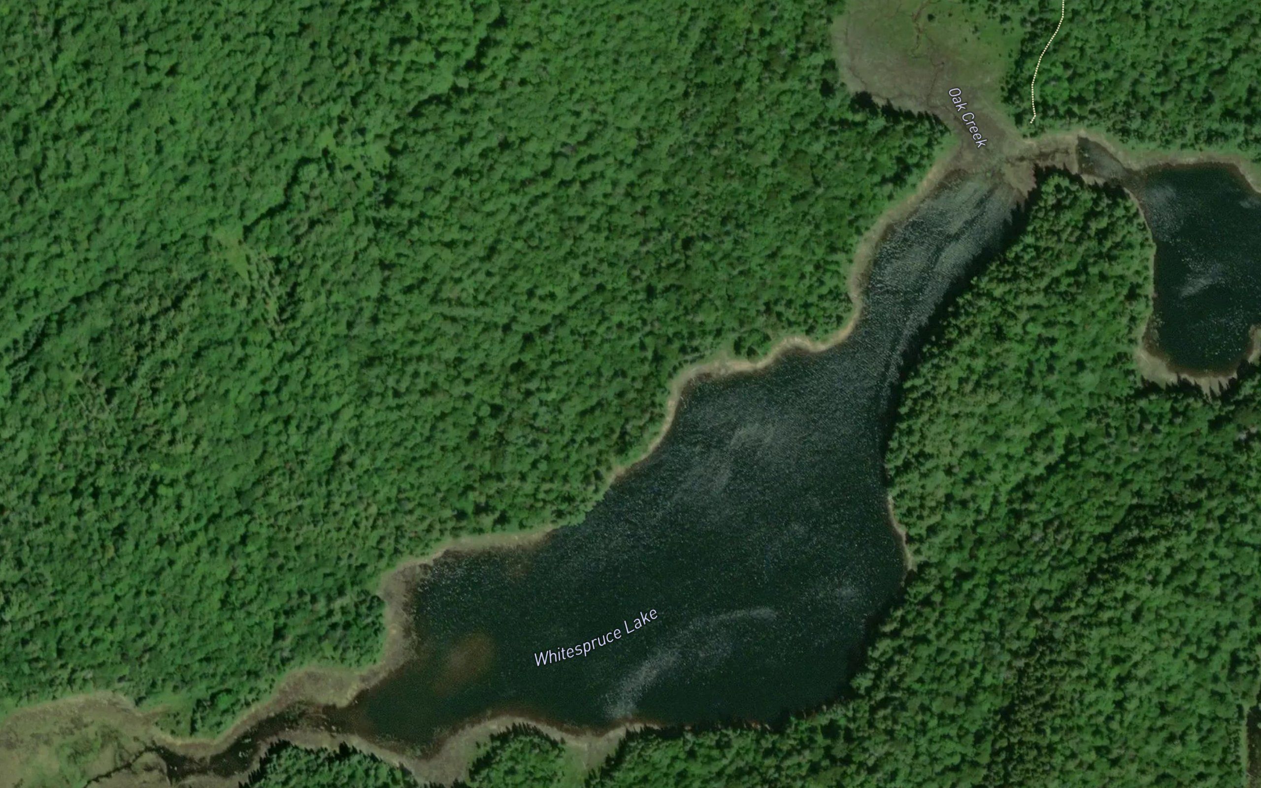 Whitespruce Lake