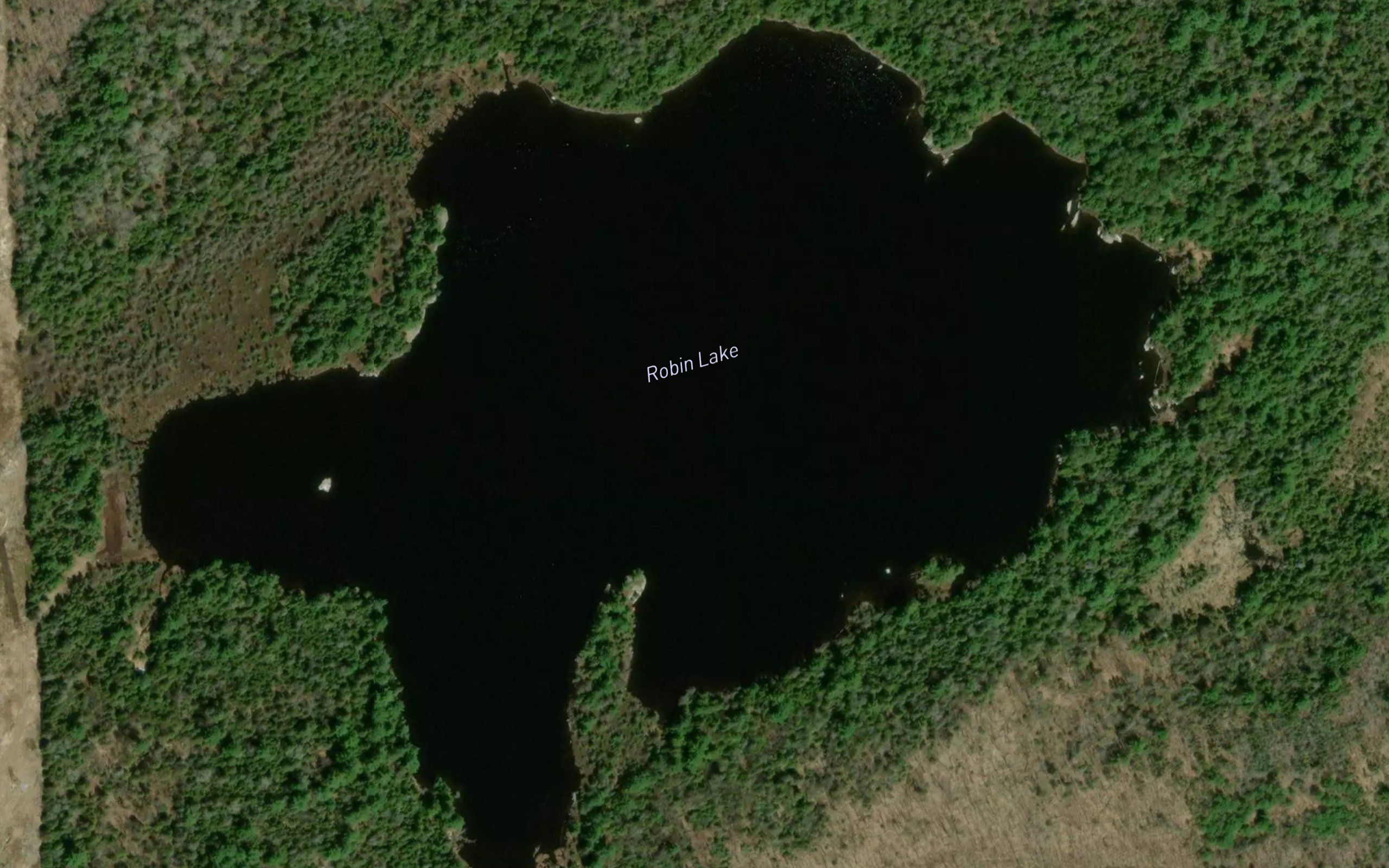 Robin Lake