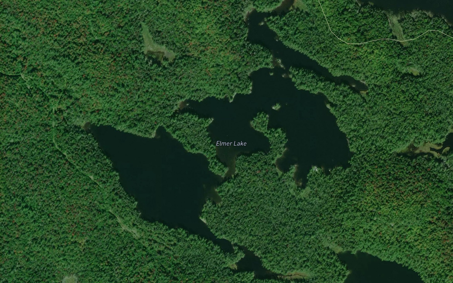 Satellite map of the Elmer Lake