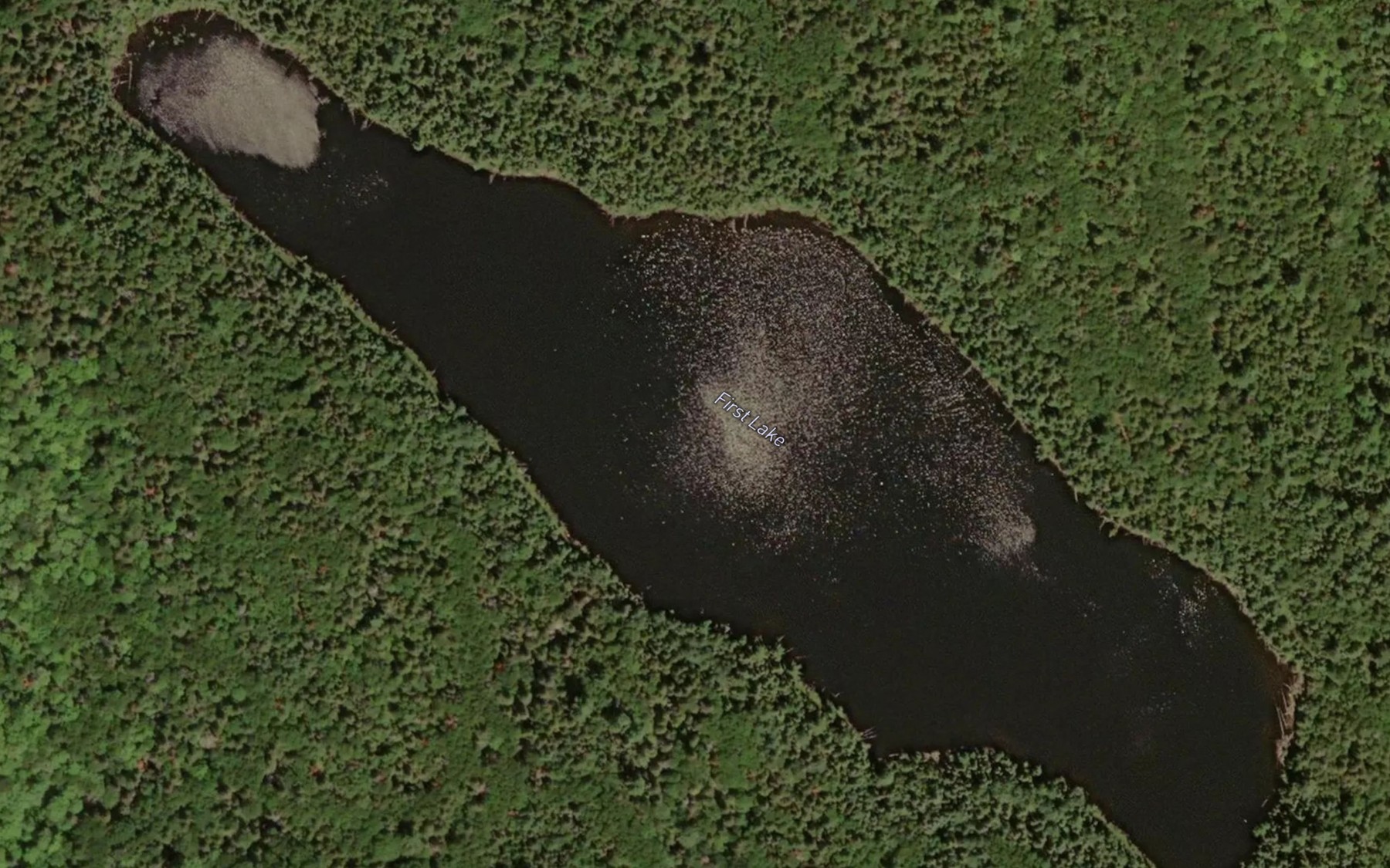 Satellite map of the First Lake