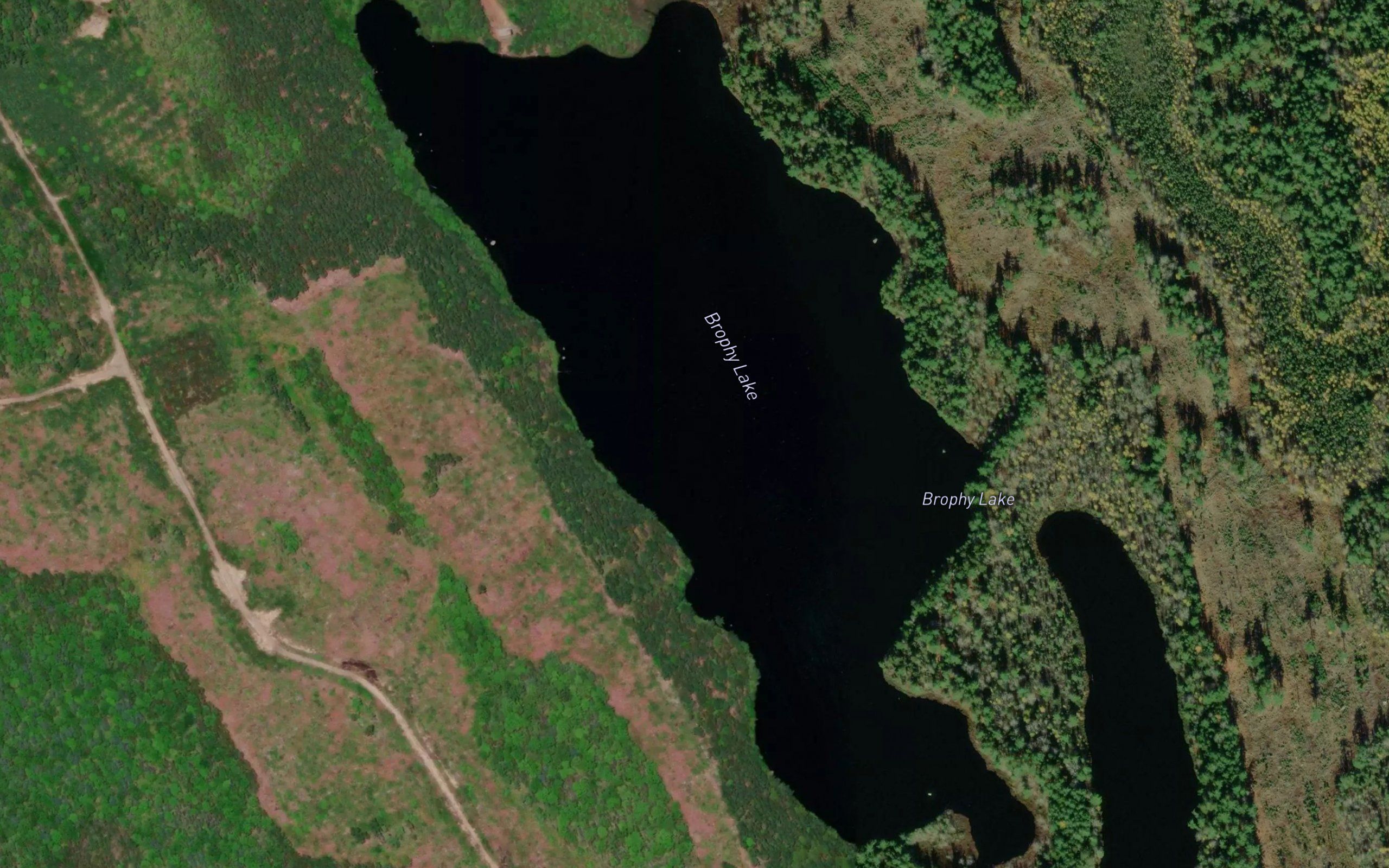 Brophy Lake