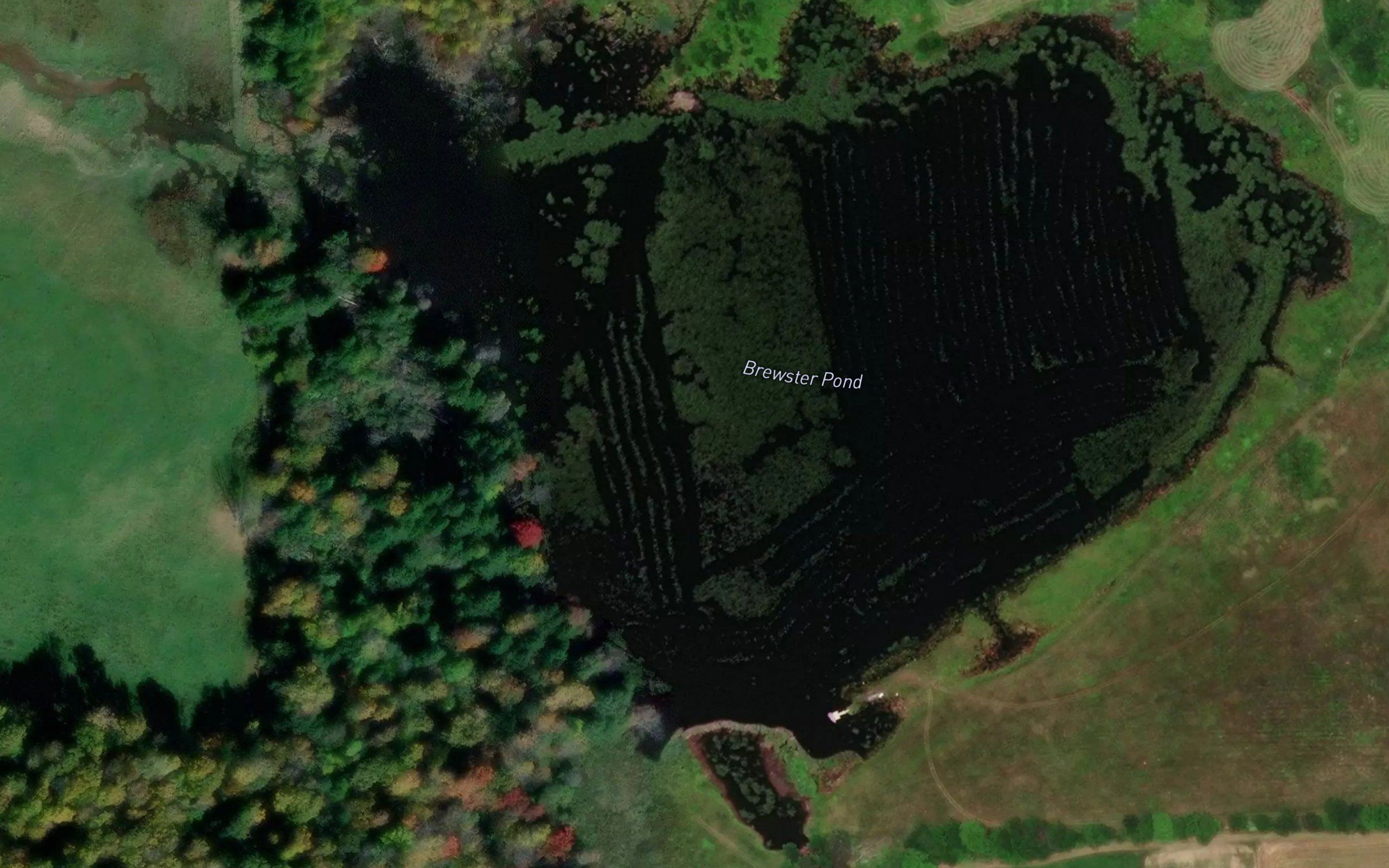 Brewster Pond