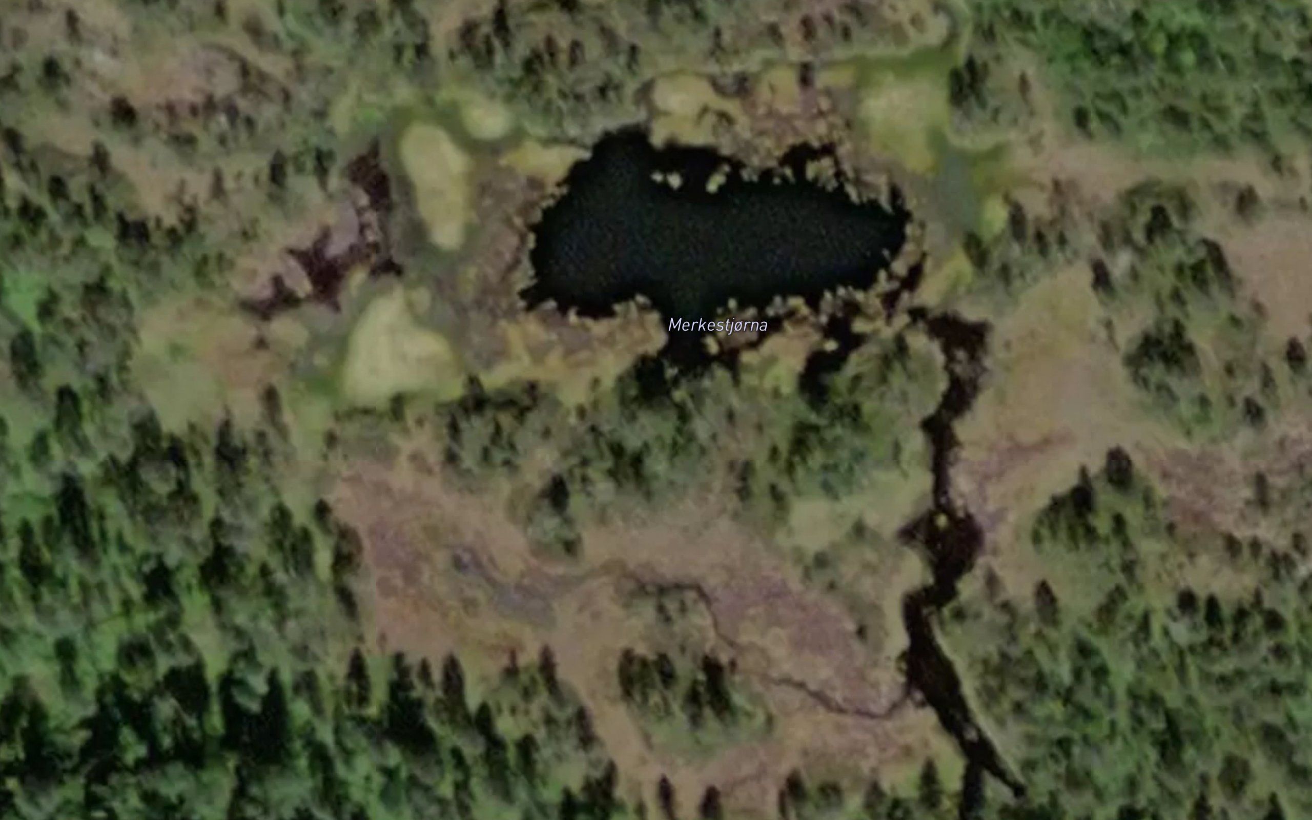 Merkestjorna