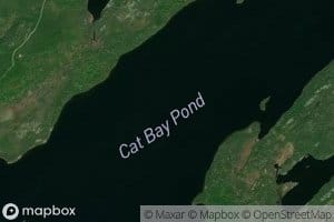 Cat Bay Pond